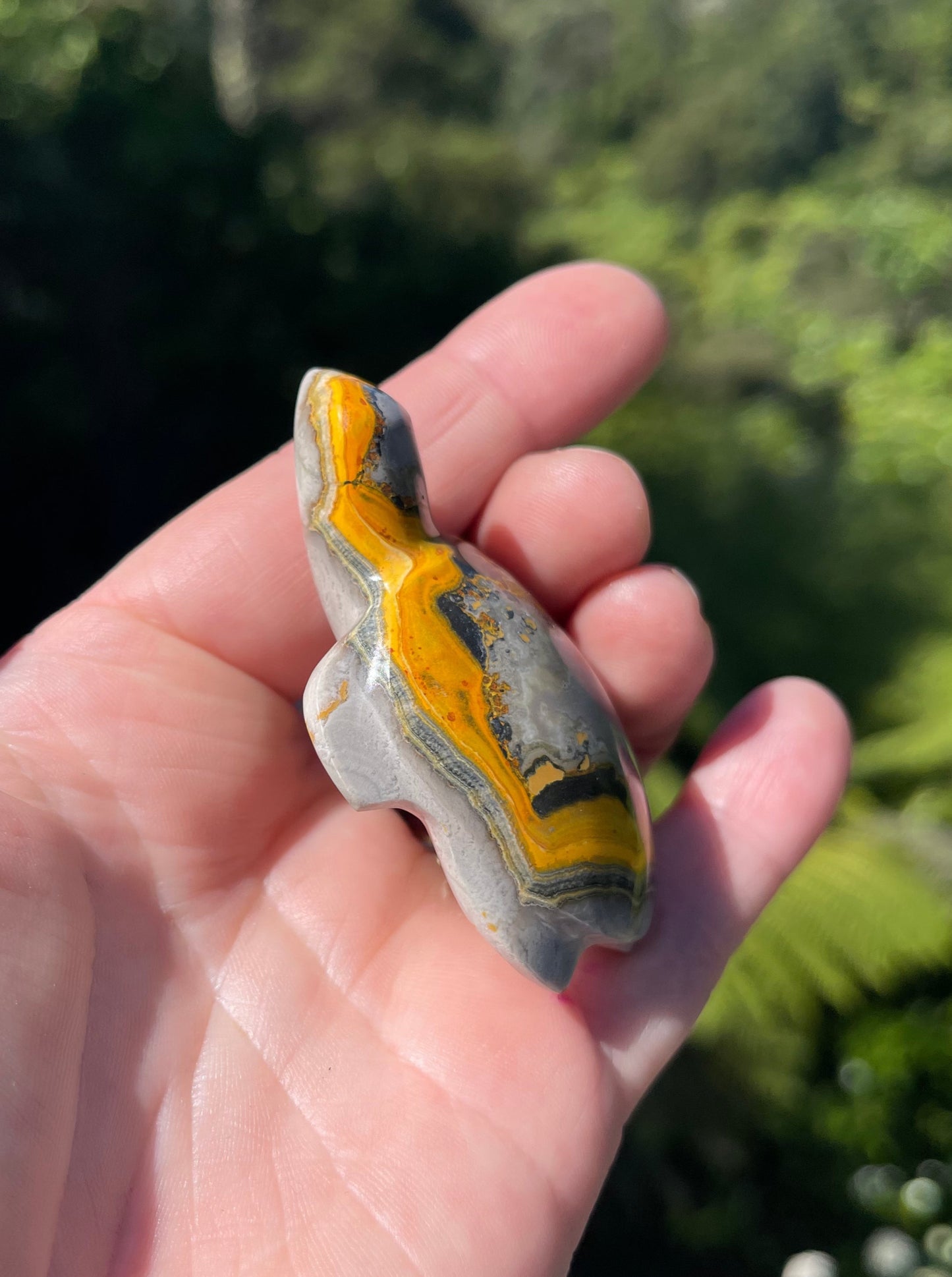 Bumblebee Jasper carved stone Turtle