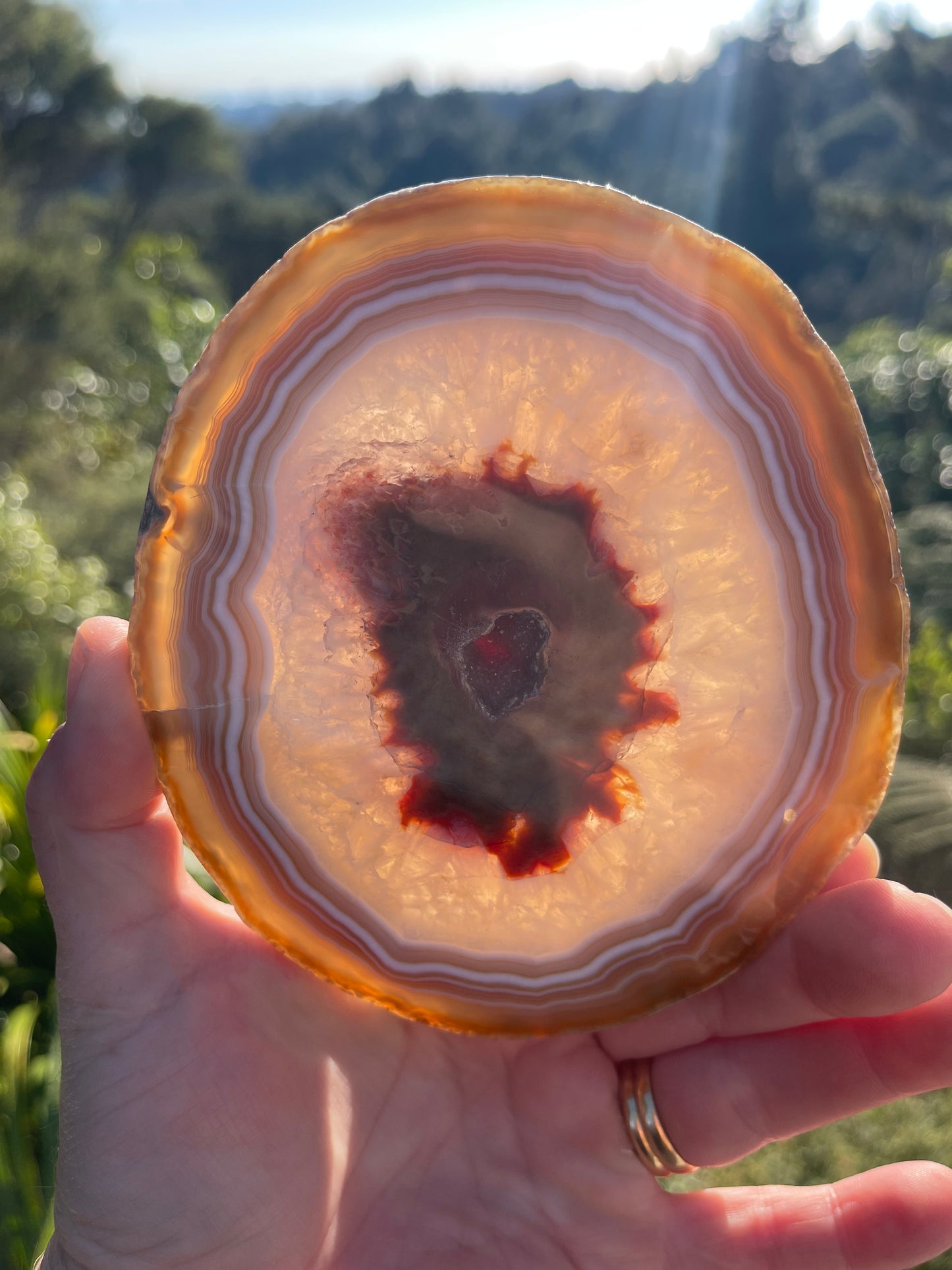 Carnelian Agate Slice, Round