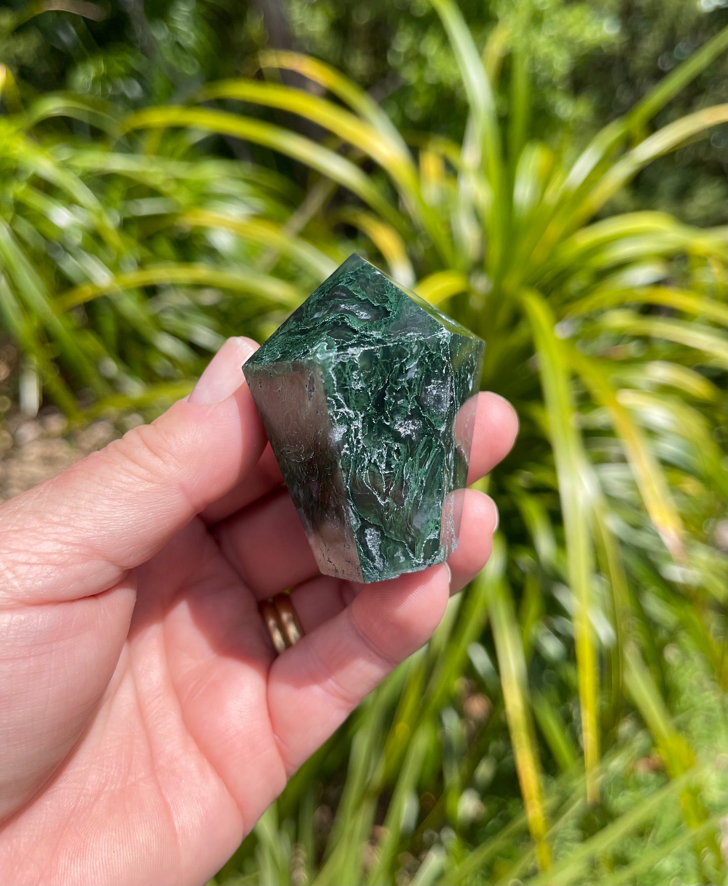 Moss Agate Point