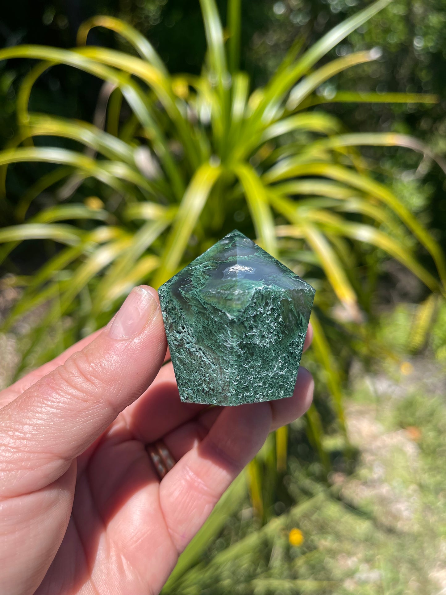 Moss Agate Point