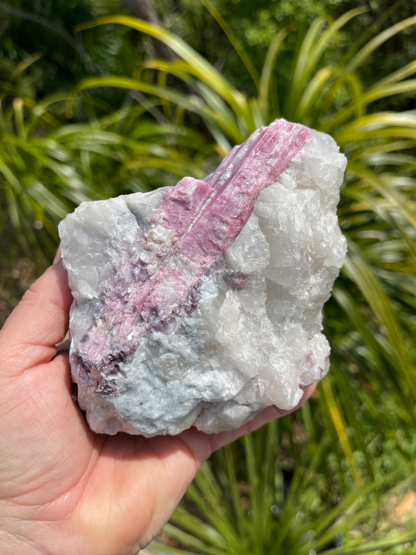 Pink Tourmaline, lepidolite and Muscovite in Quartz