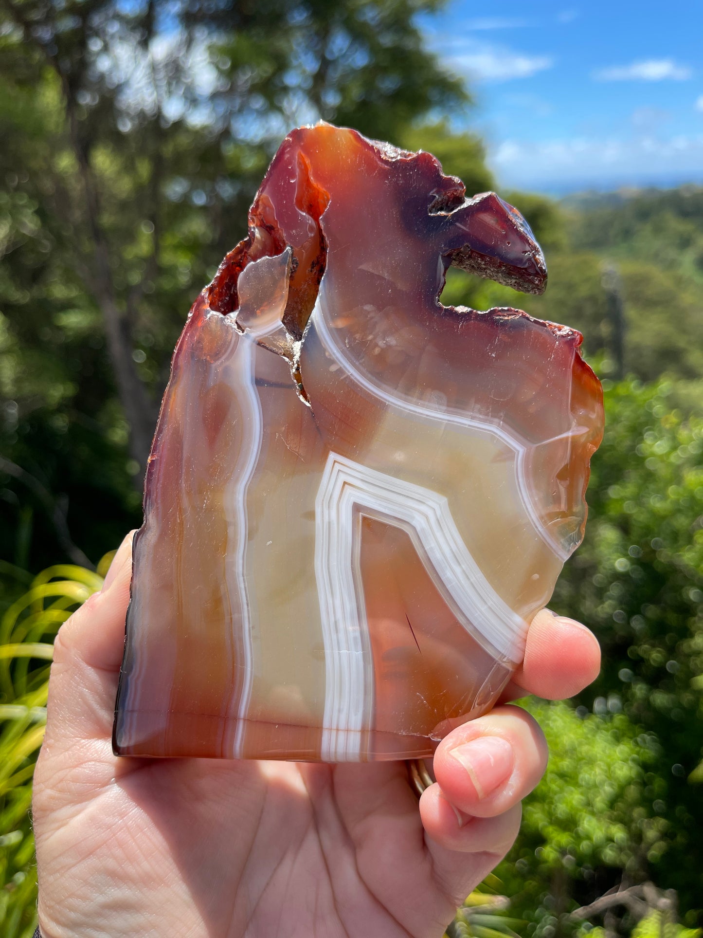 Carnelian Agate Slice