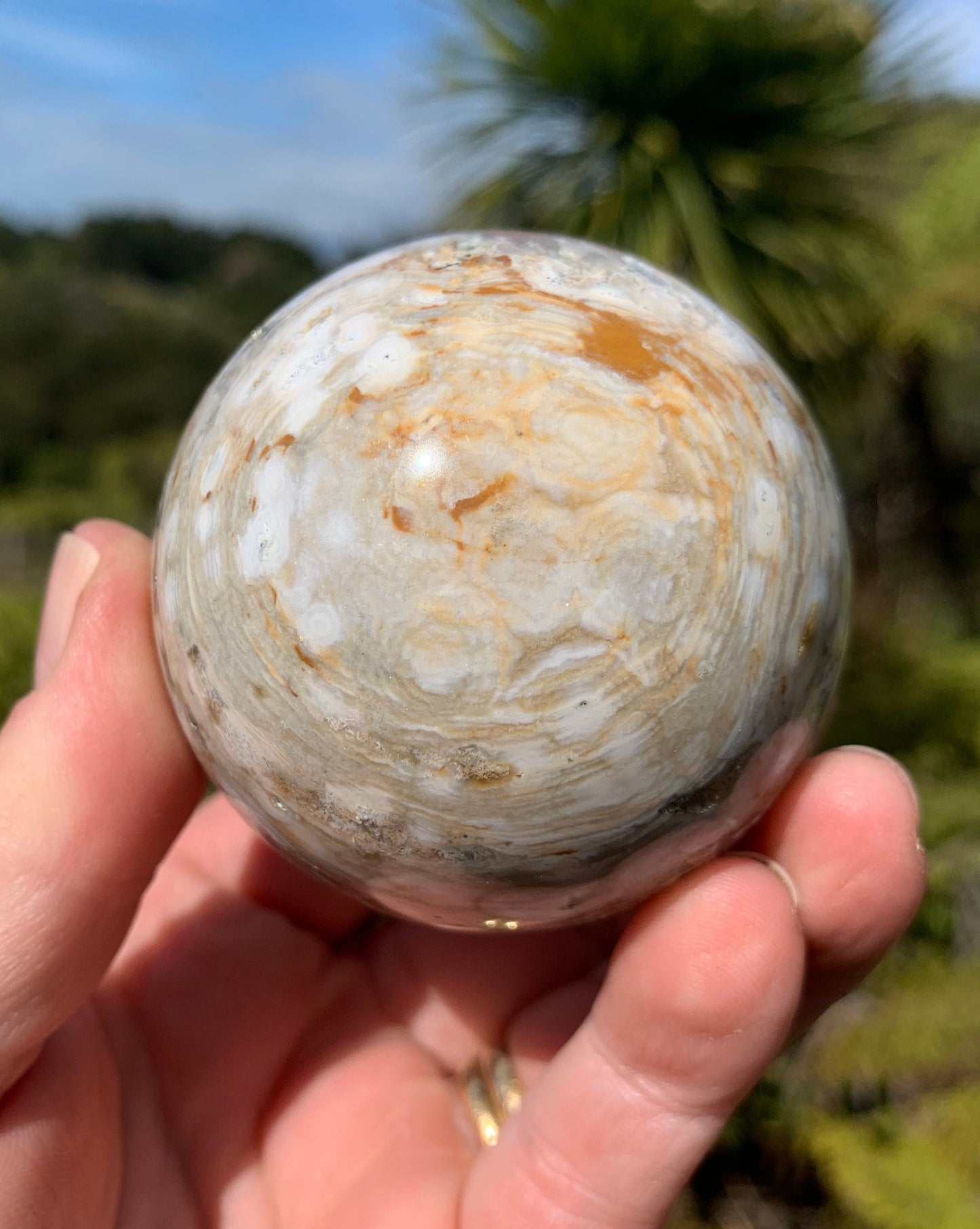 Orbicular Ocean Jasper Sphere