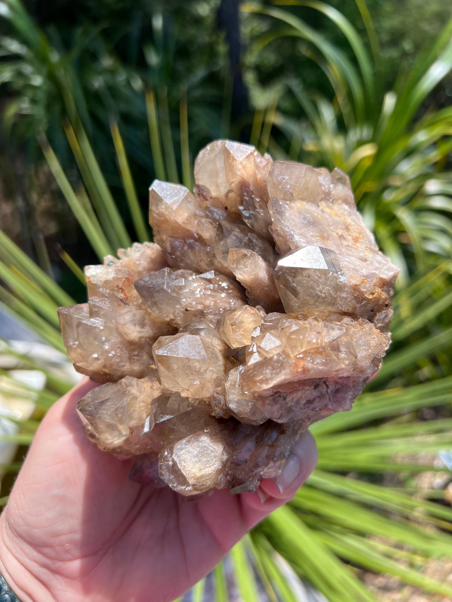 Kundalini Smoky Citrine Cluster