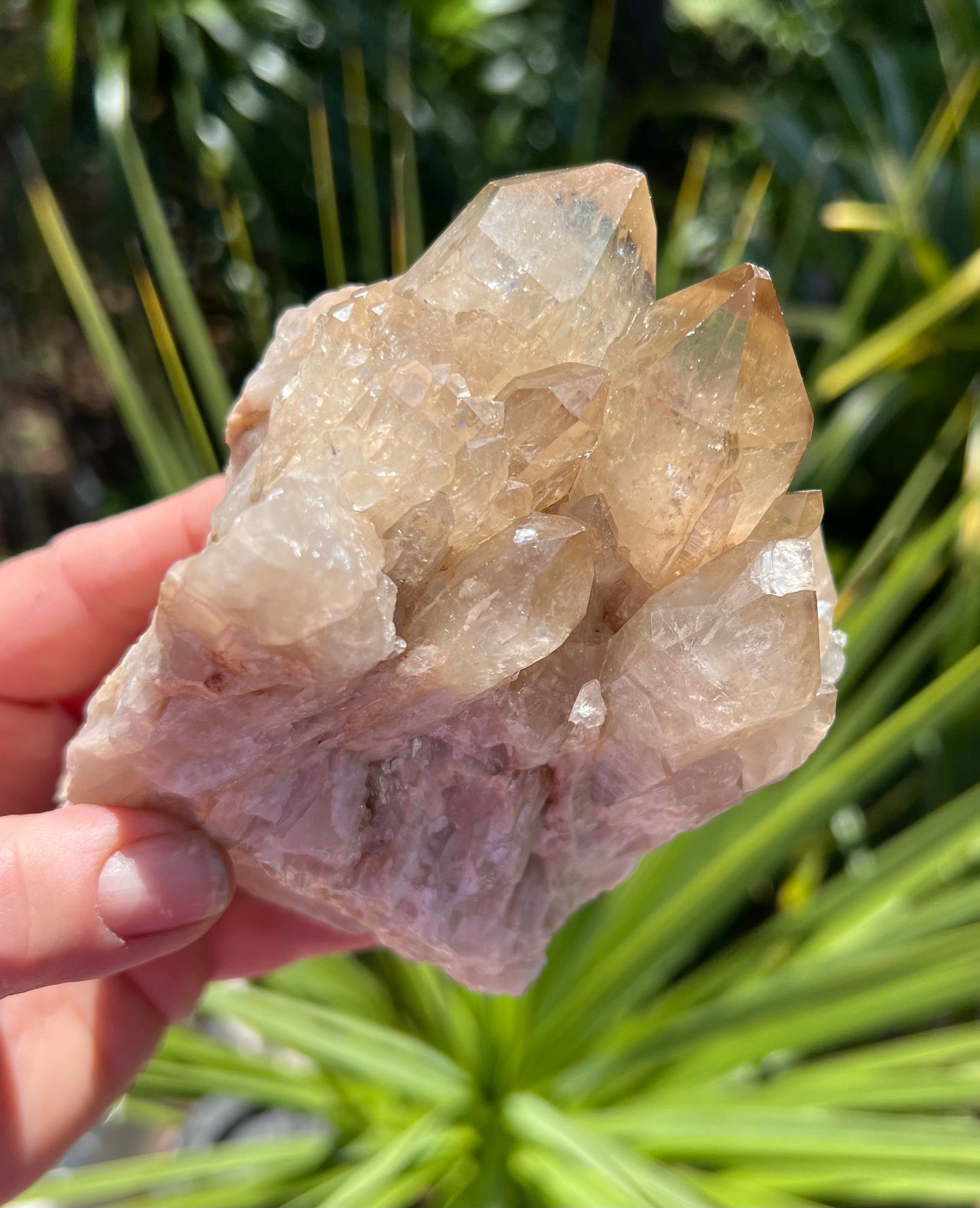 Kundalini Citrine Cluster