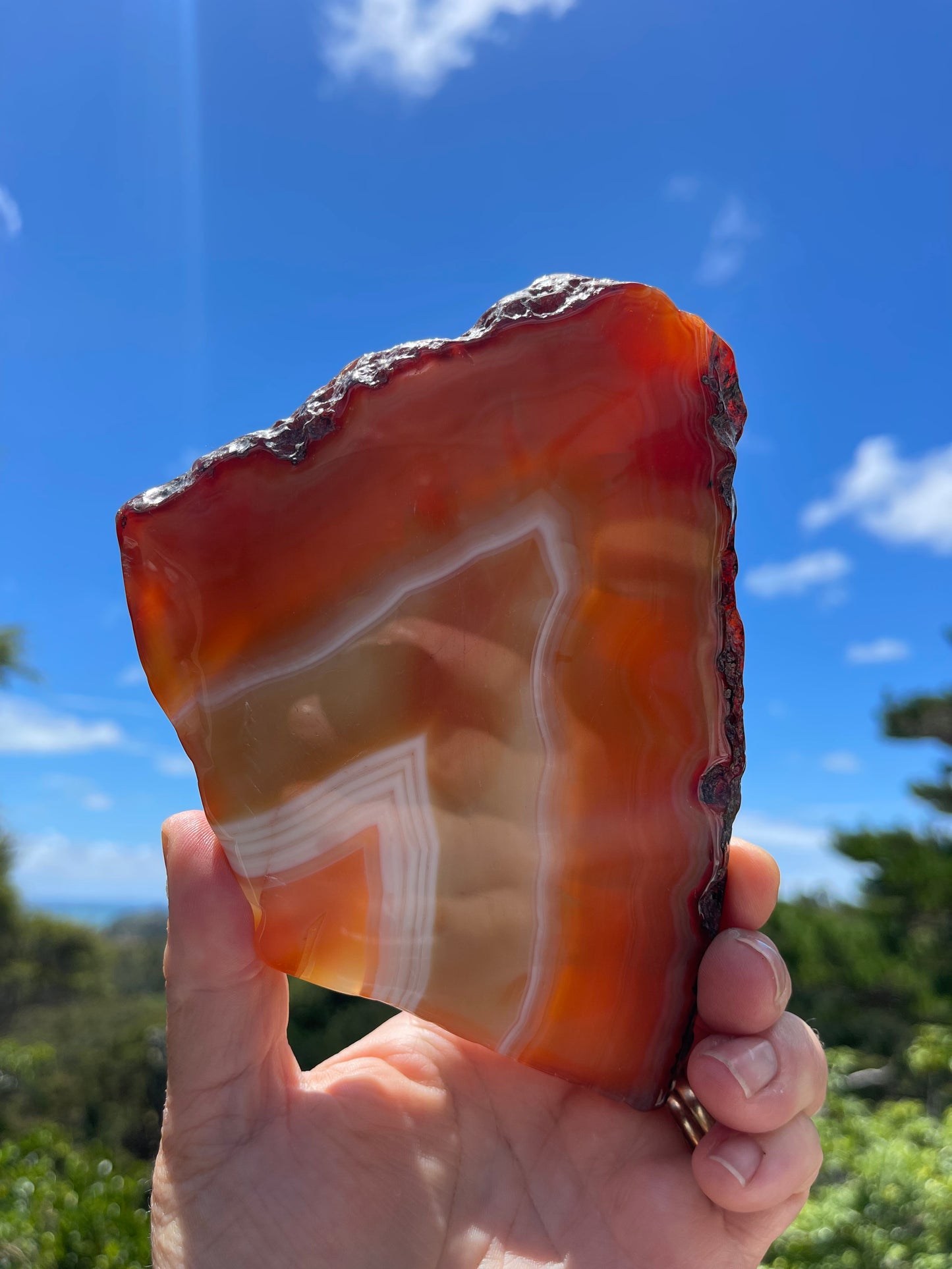 Carnelian Agate Slice
