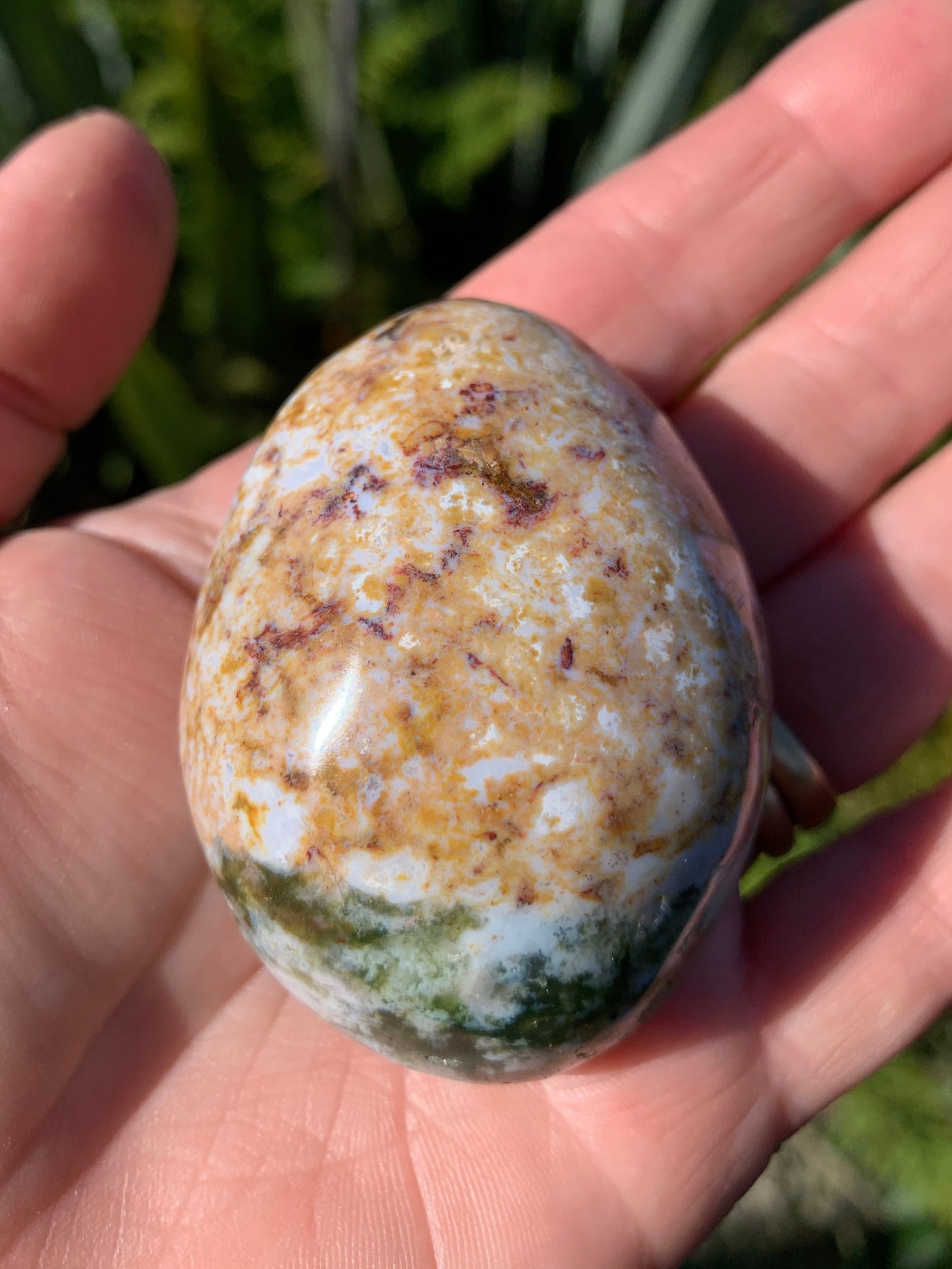 Ocean Jasper Palm Stone