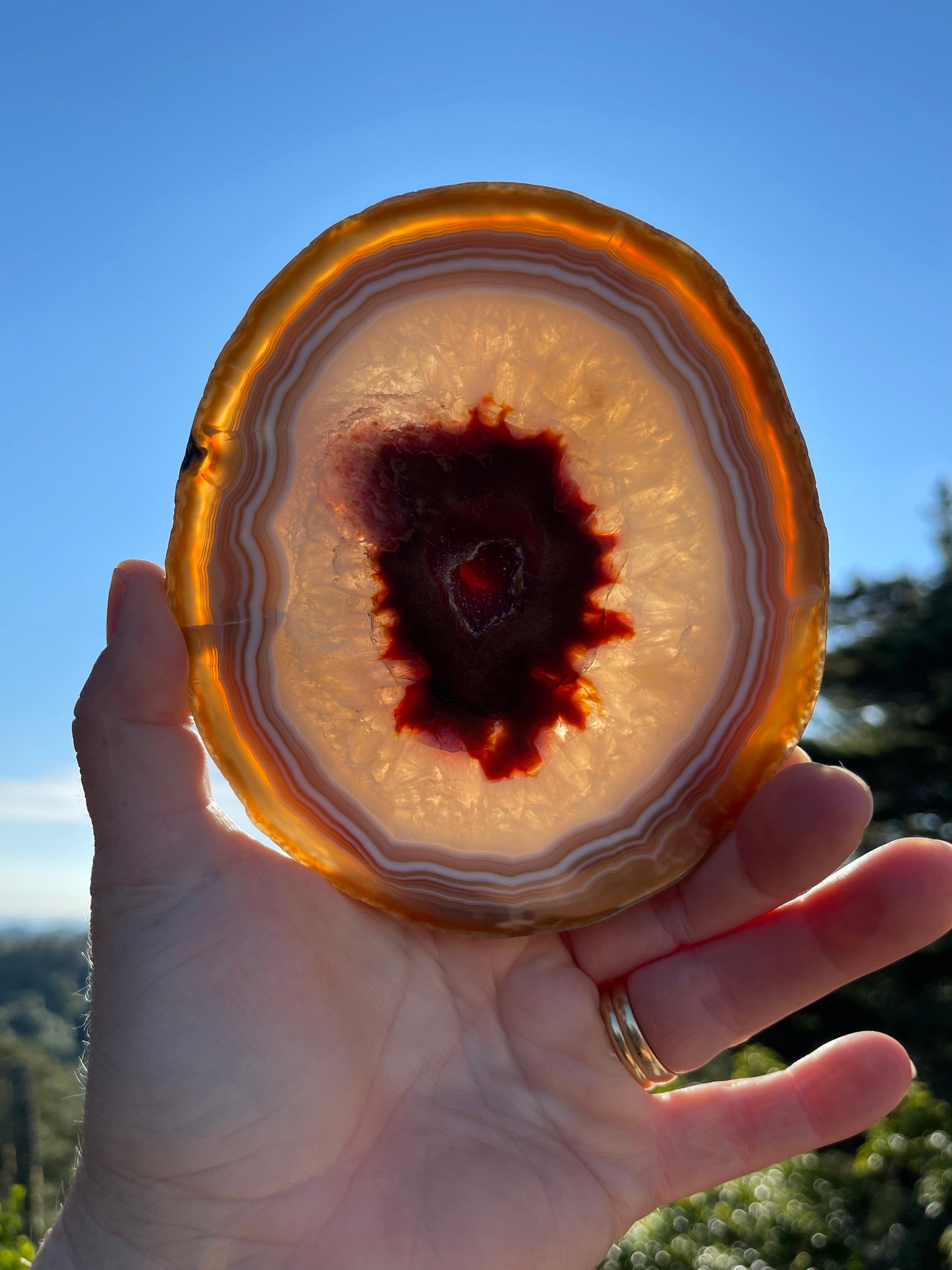 Carnelian Agate Slice, Round