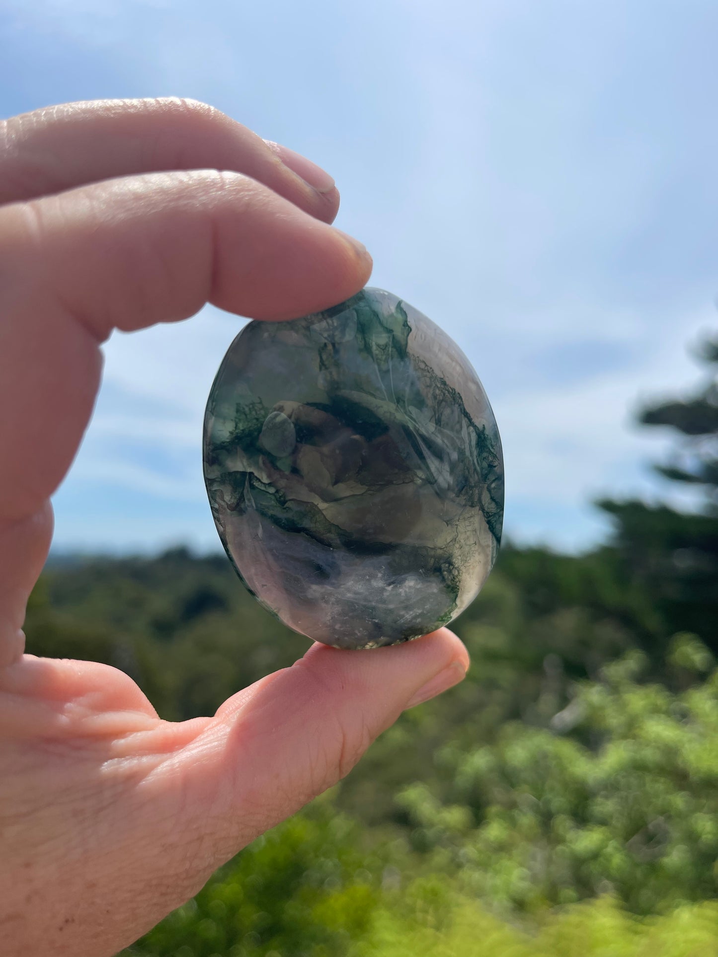 Moss Agate Palm Stone