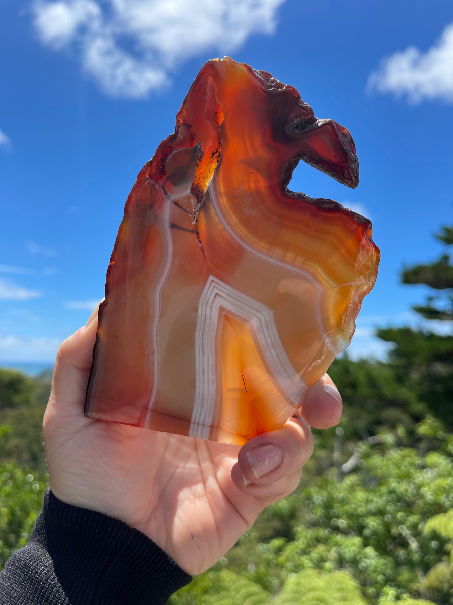 Carnelian Agate Slice