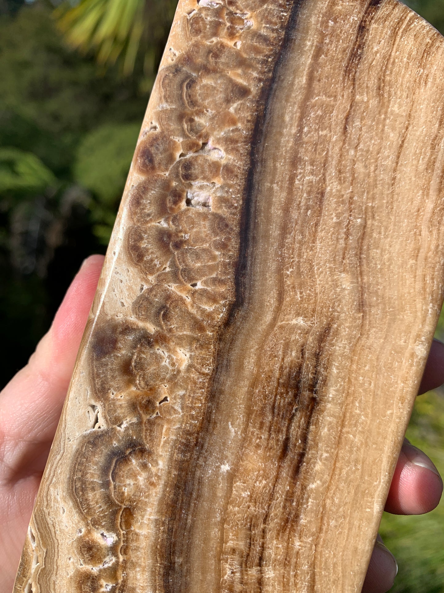 Chocolate Calcite Freeform