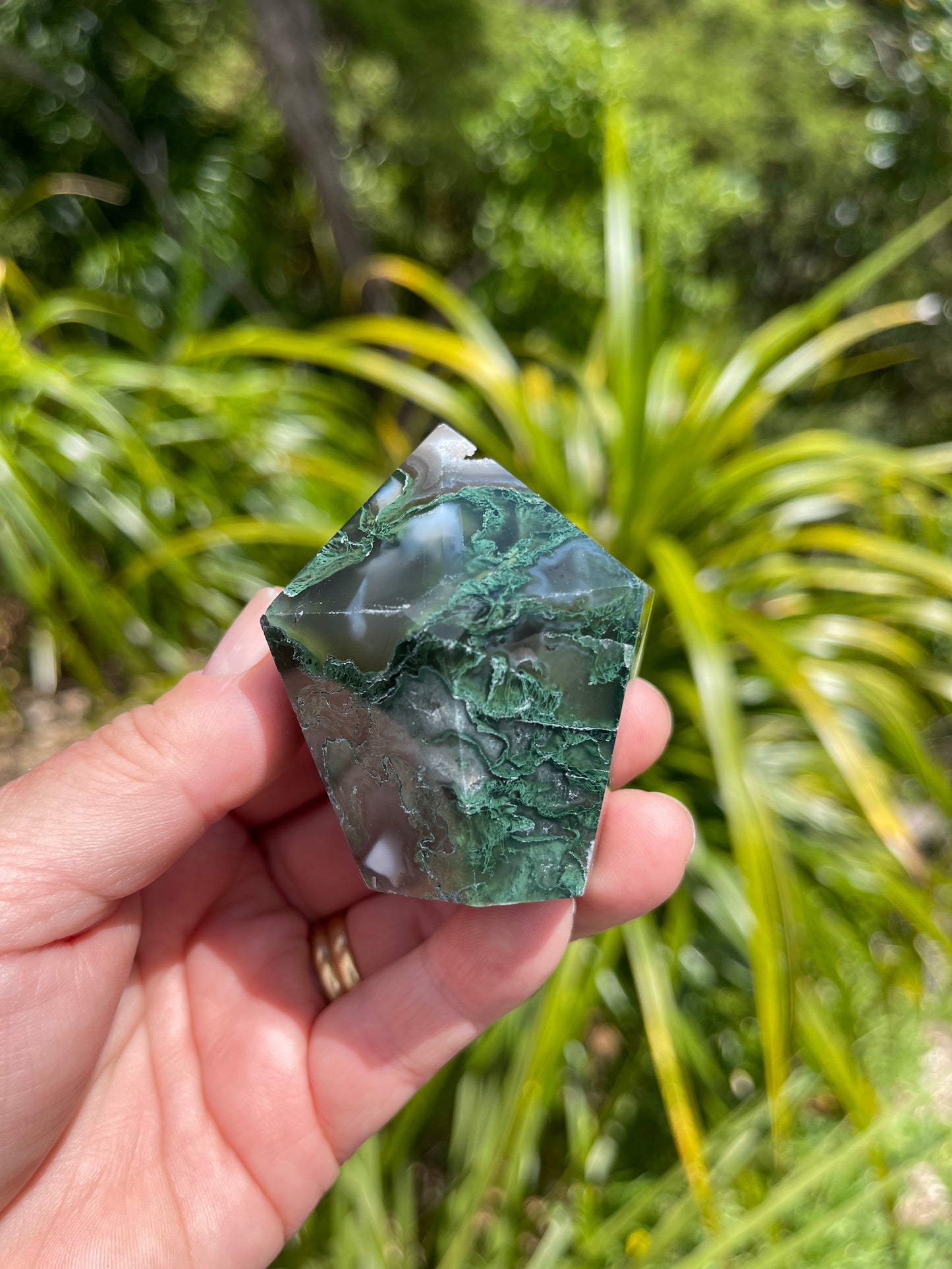 Moss Agate Point