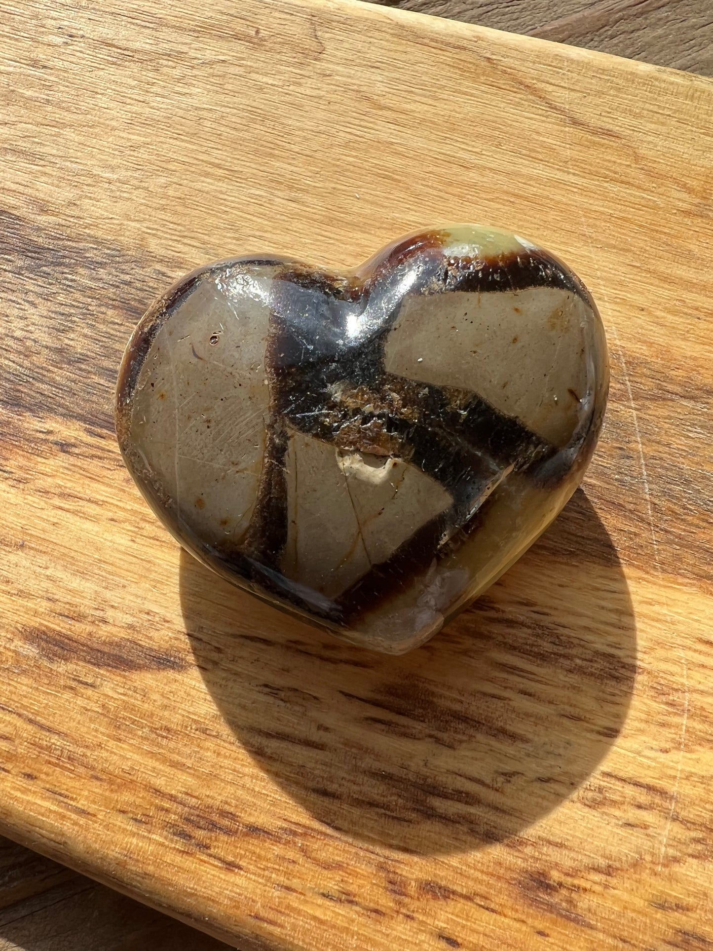 Septarian/Dragons Stone Heart