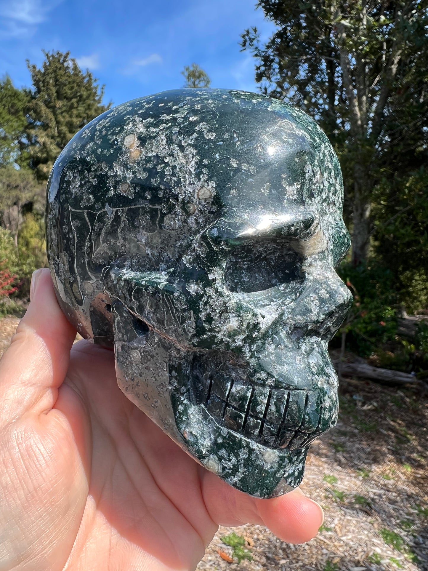 Moss Agate Carved Skull