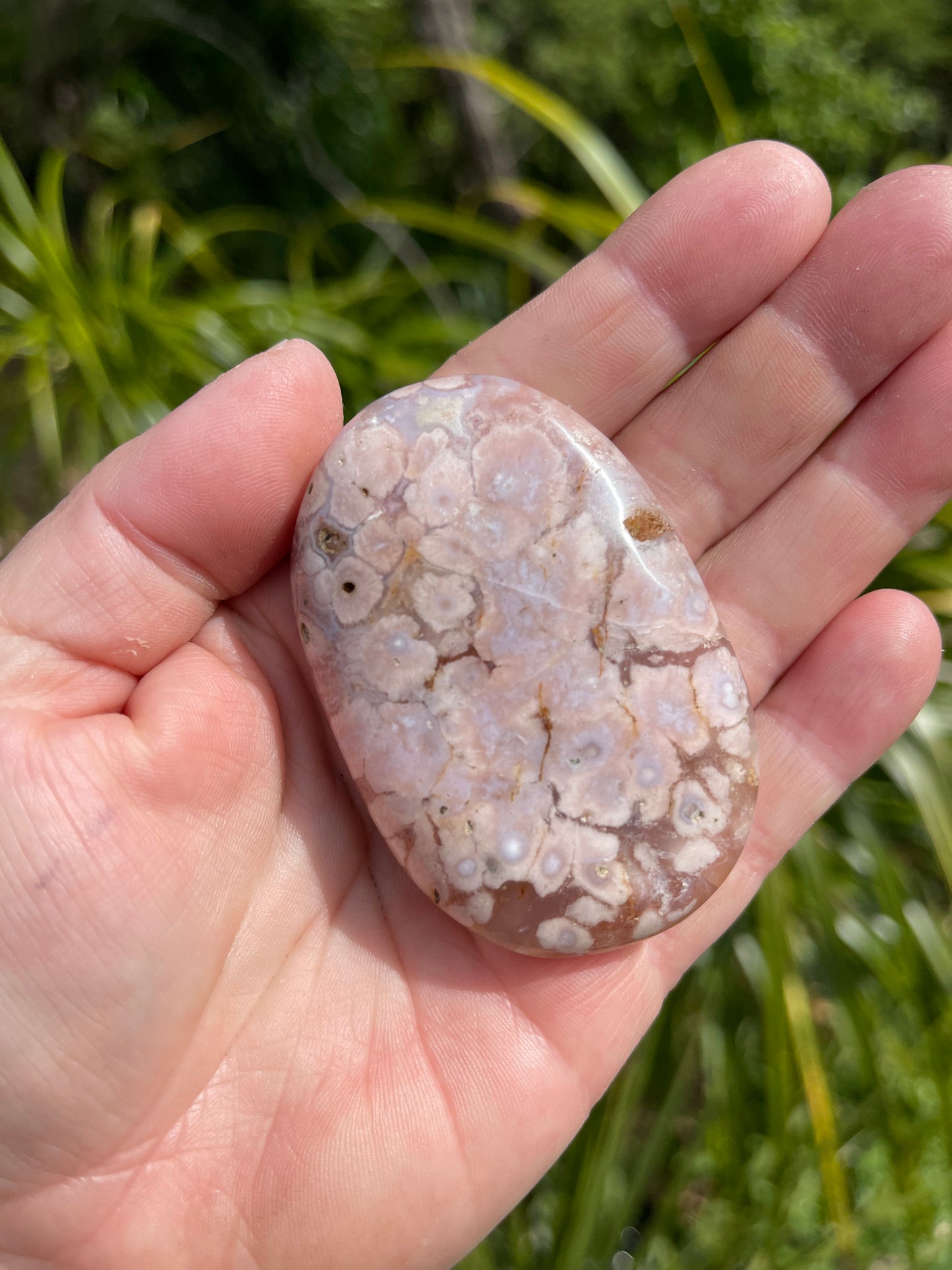 Cherry Blossom/Flower Agate Palm Stone