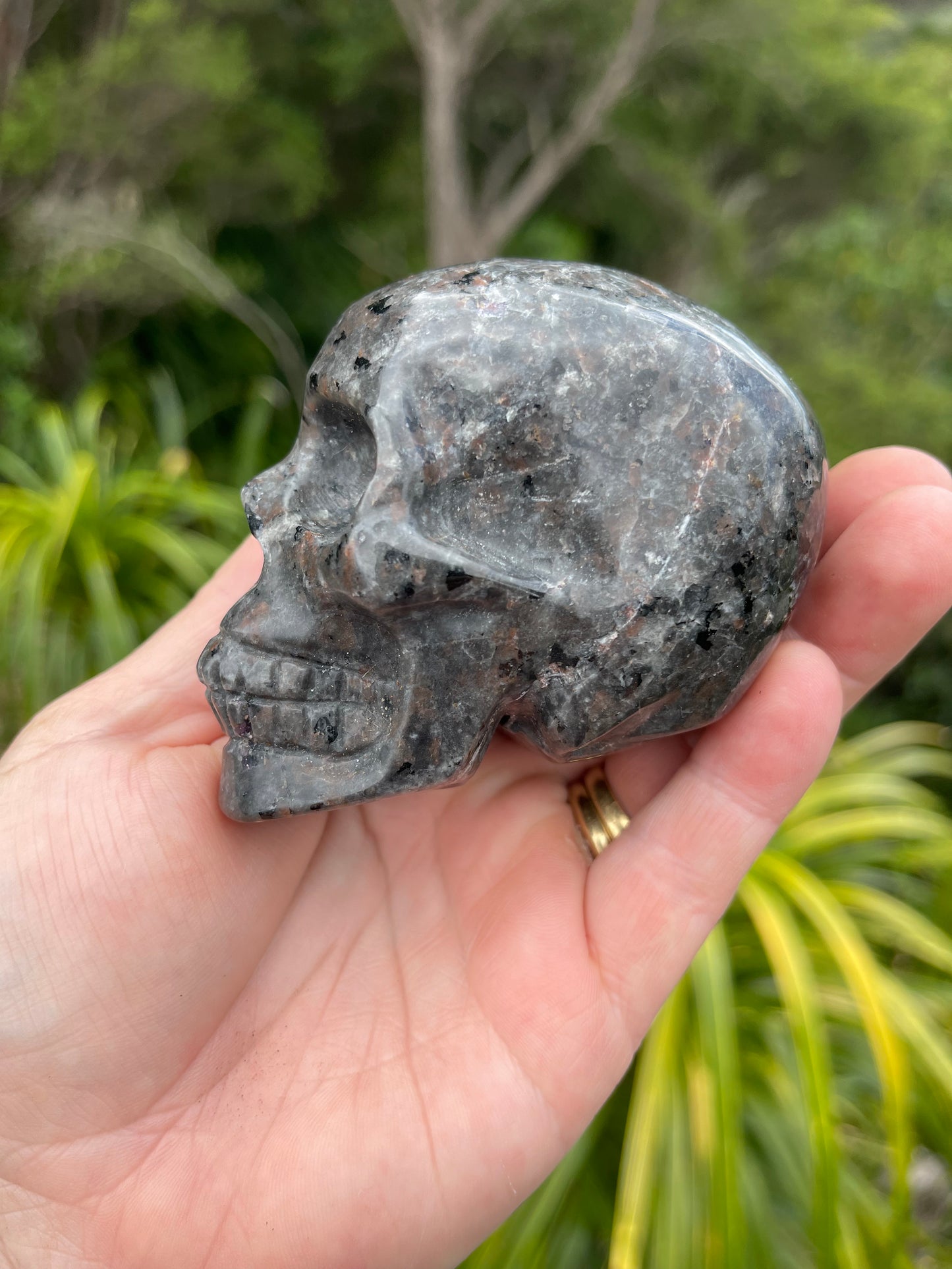 Yooperlite/Ultra Violet Sodalite Skull