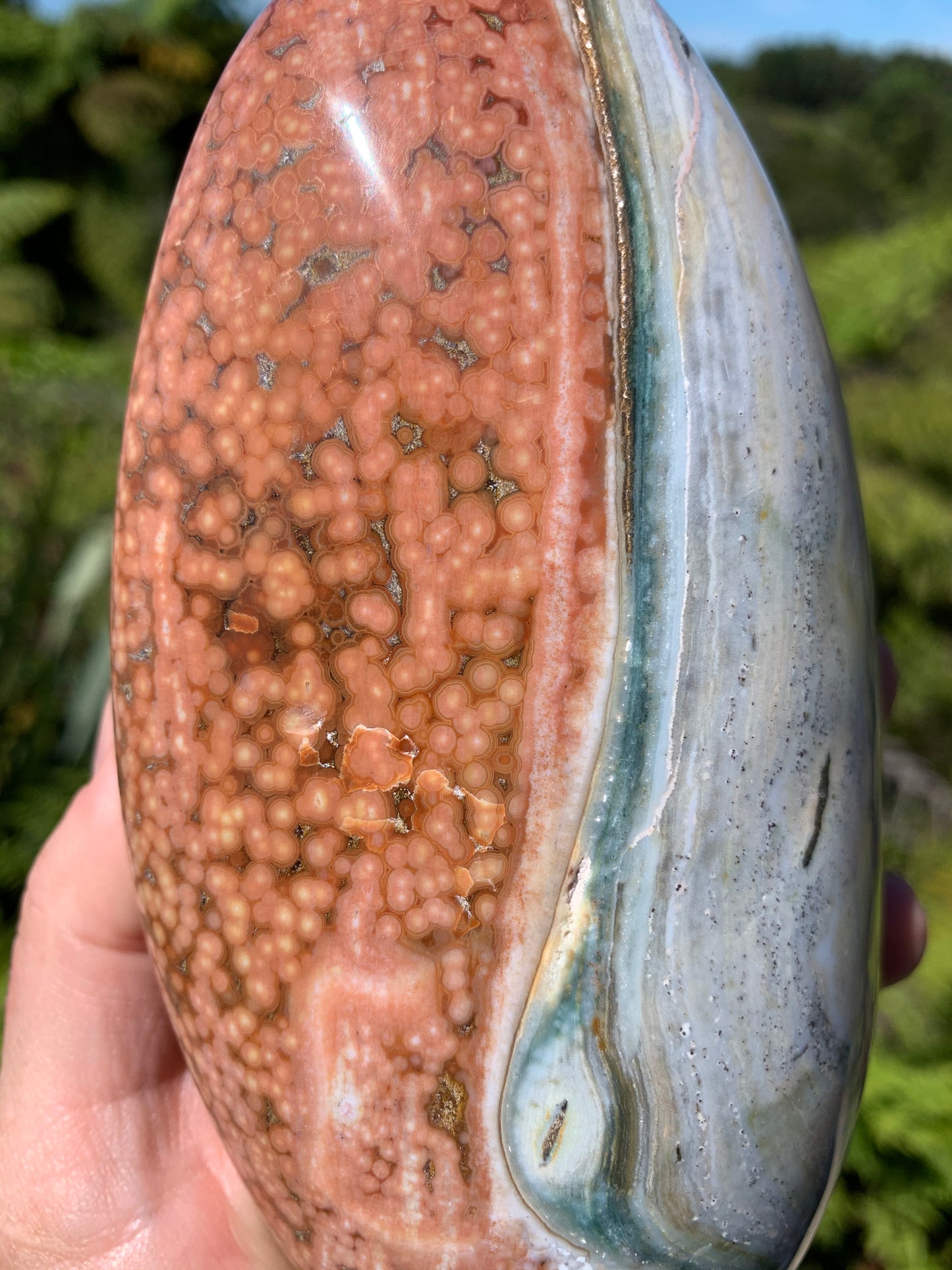 Ocean Jasper Free Form
