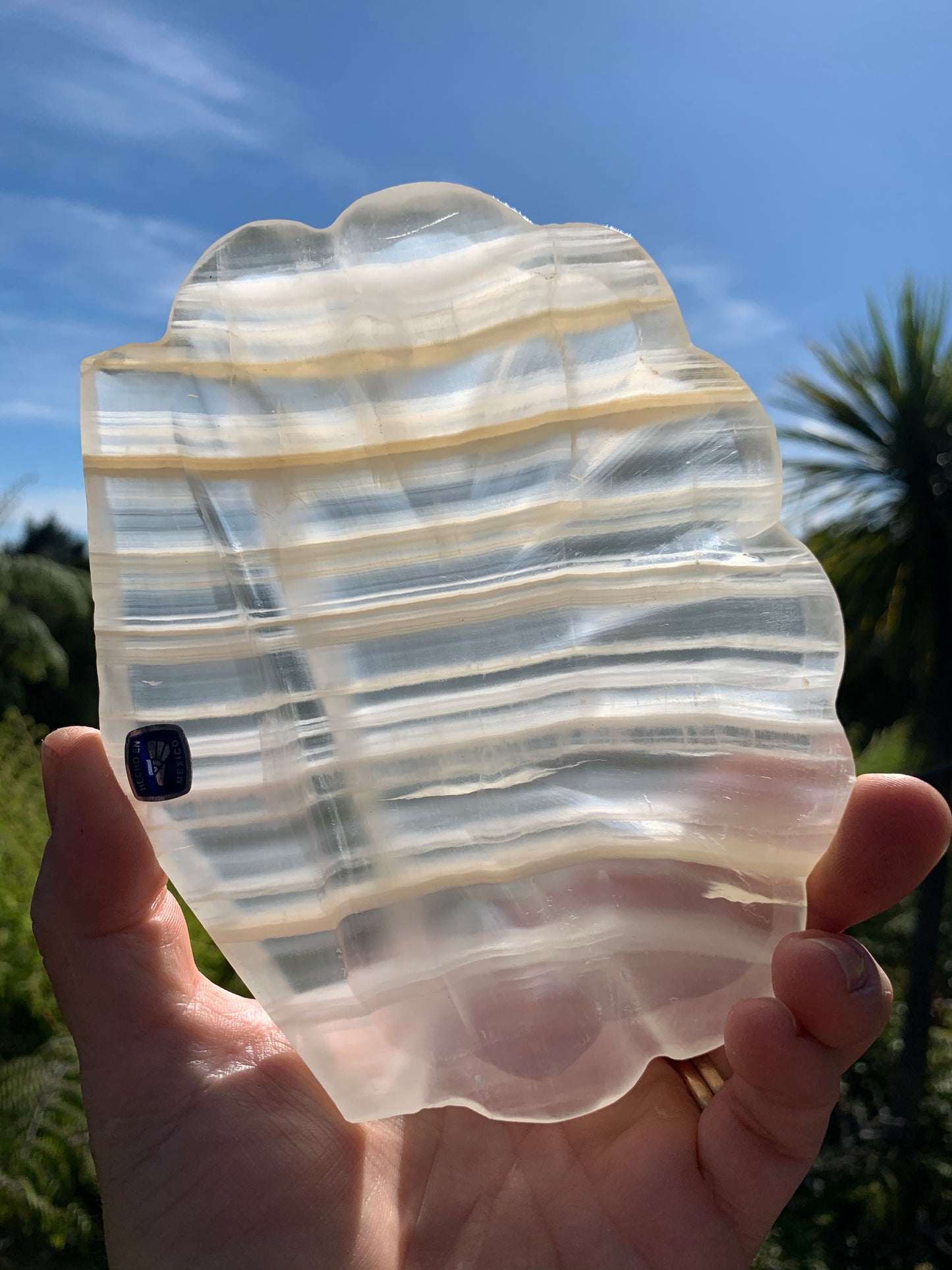 Onyx Shell Dish/Bowl