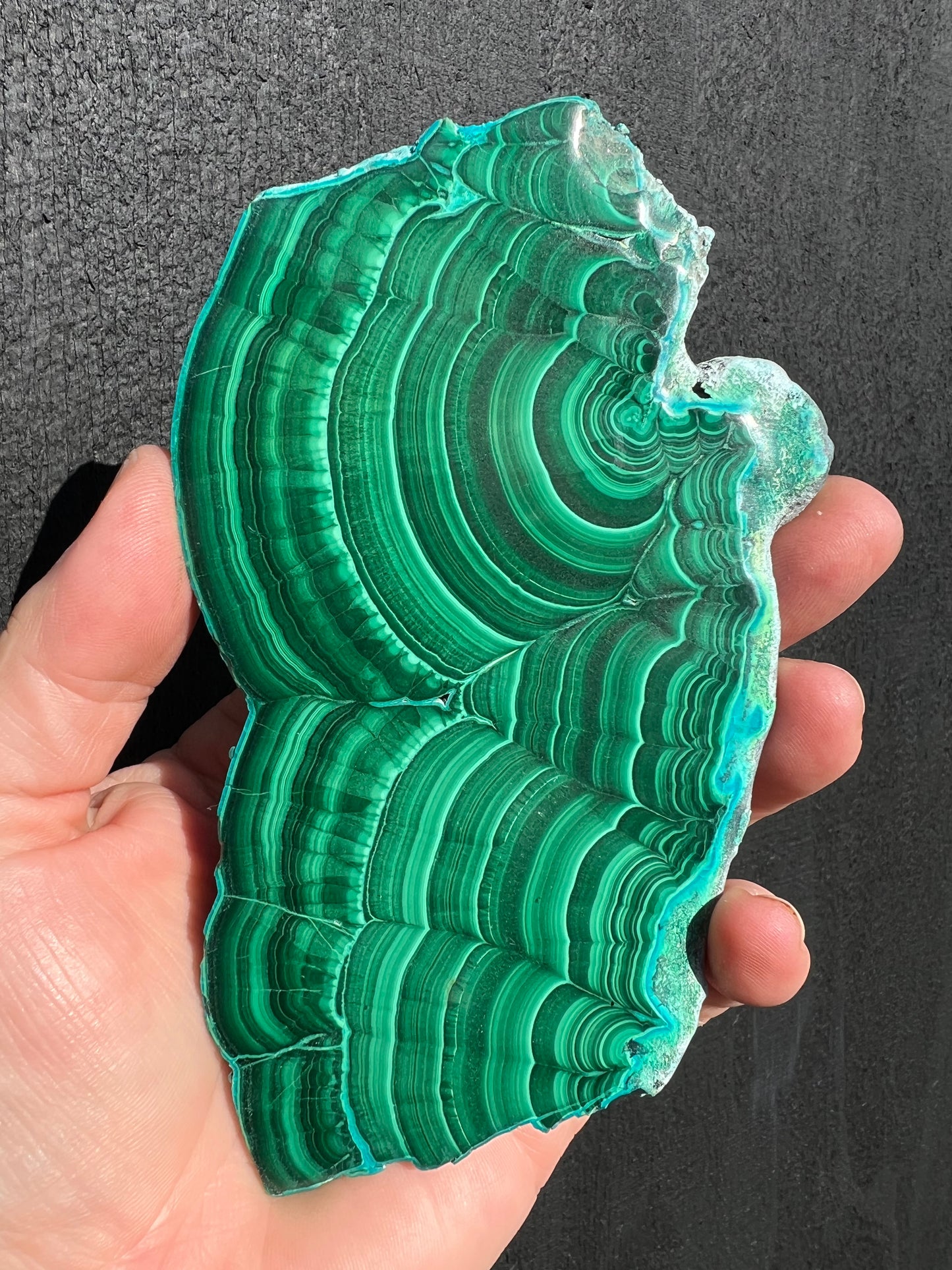 Malacholla Malachite with Chrysocolla Slice