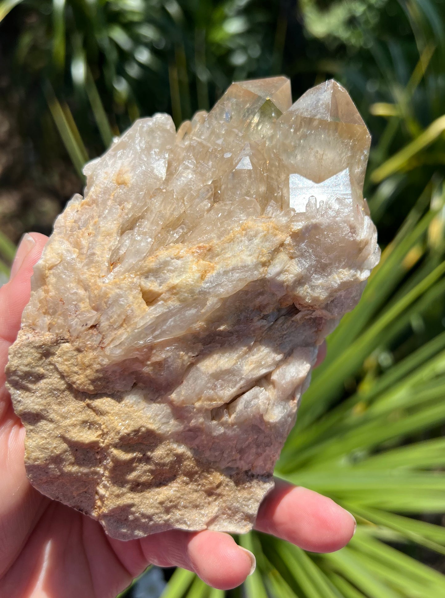 Kundalini Citrine Cluster