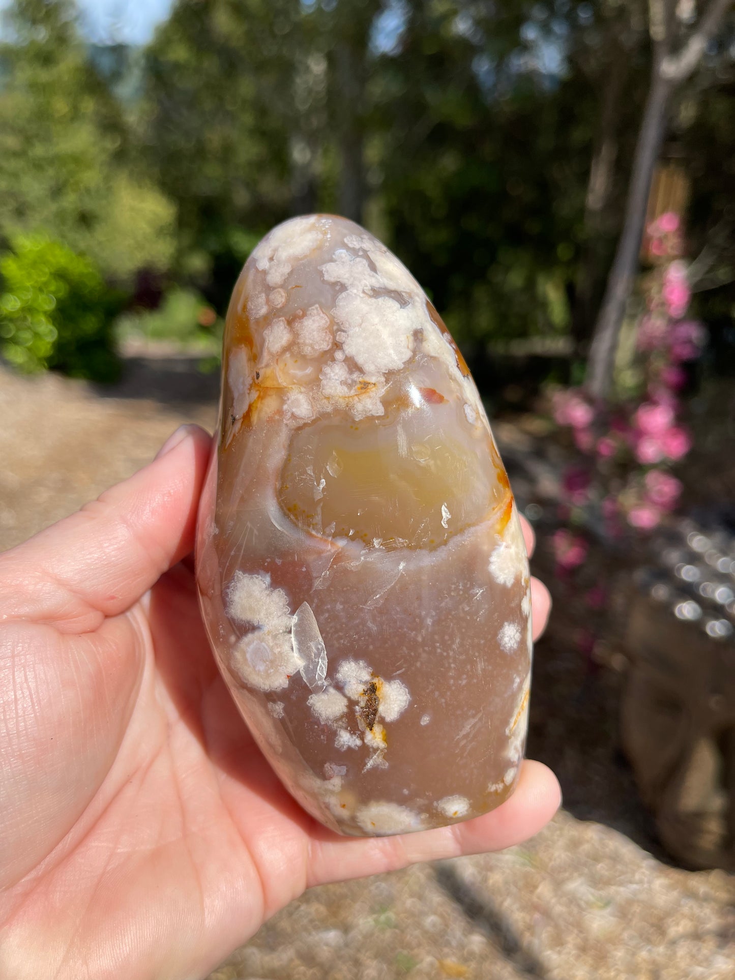 Cherry Blossom/Flower Agate Carnelian mix Free Form