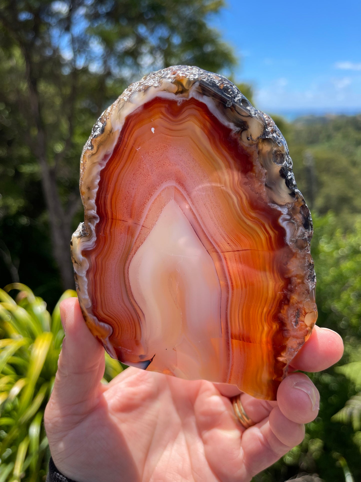 Carnelian Agate Slice