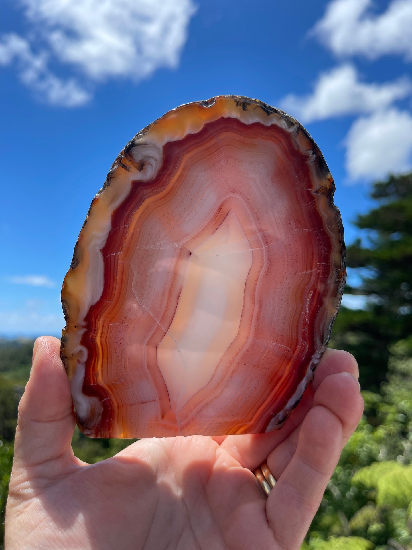 Carnelian Agate Slice