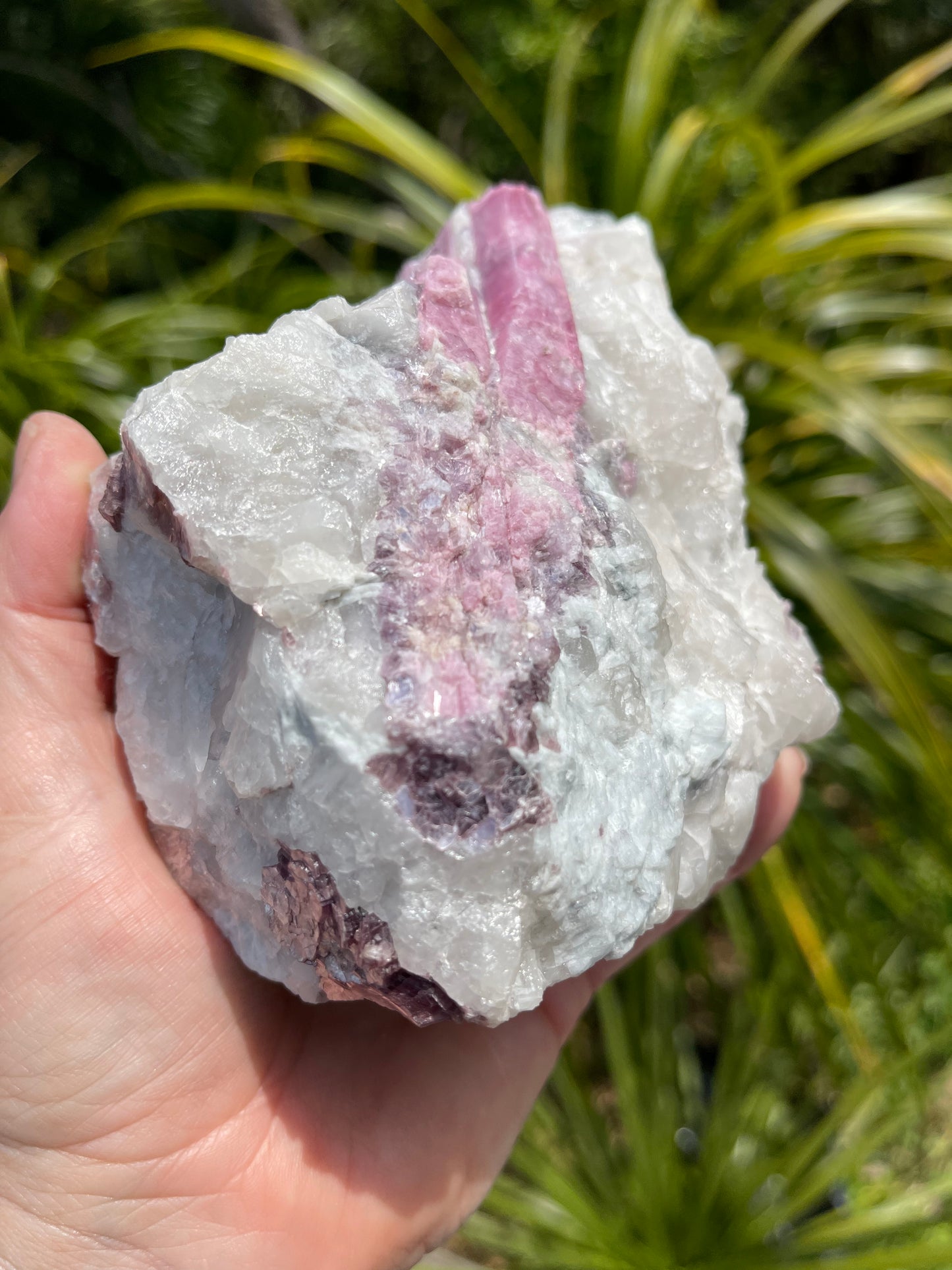 Pink Tourmaline, lepidolite and Muscovite in Quartz