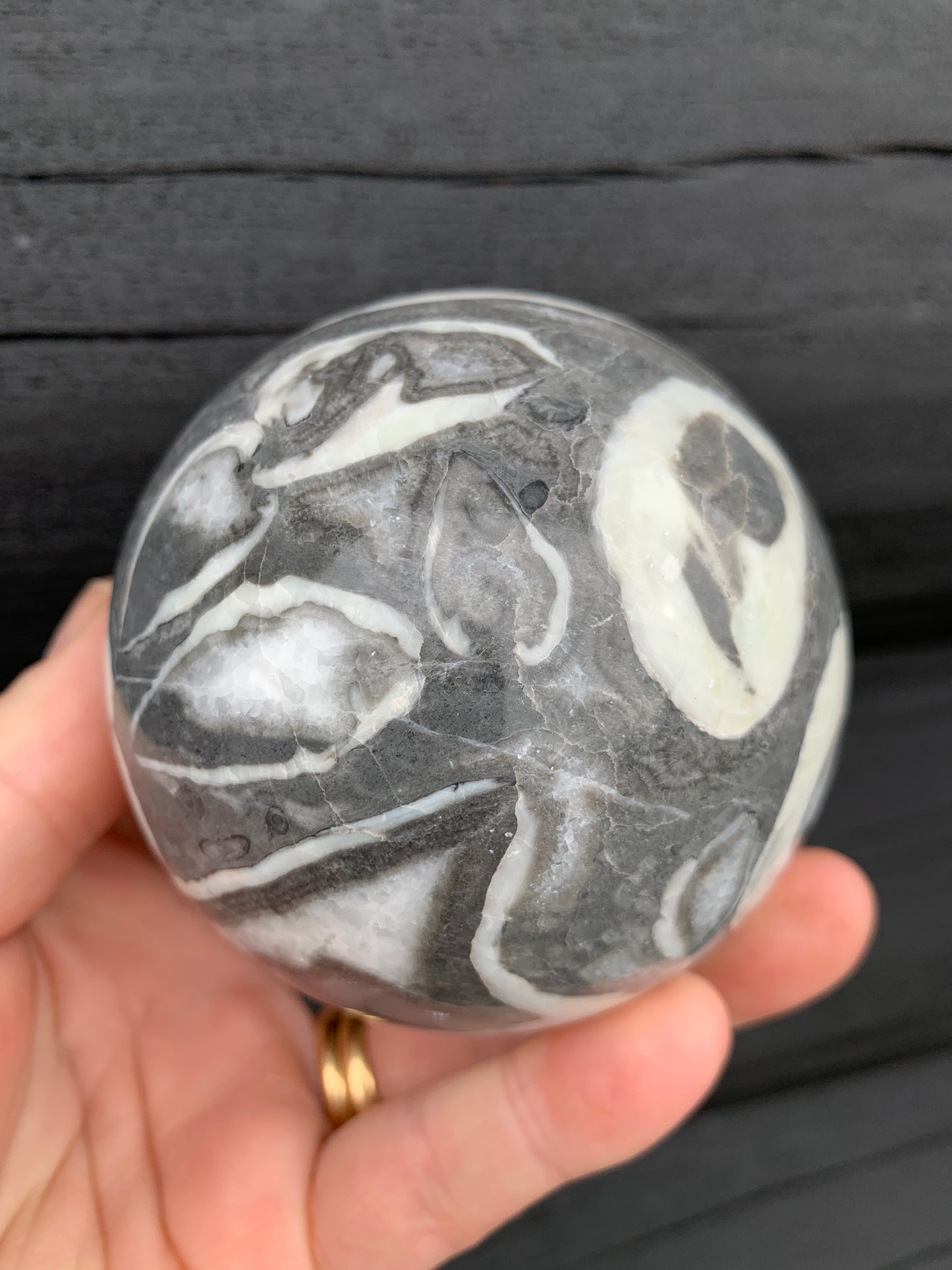 Thousand Eye/Shell Jasper Sphere