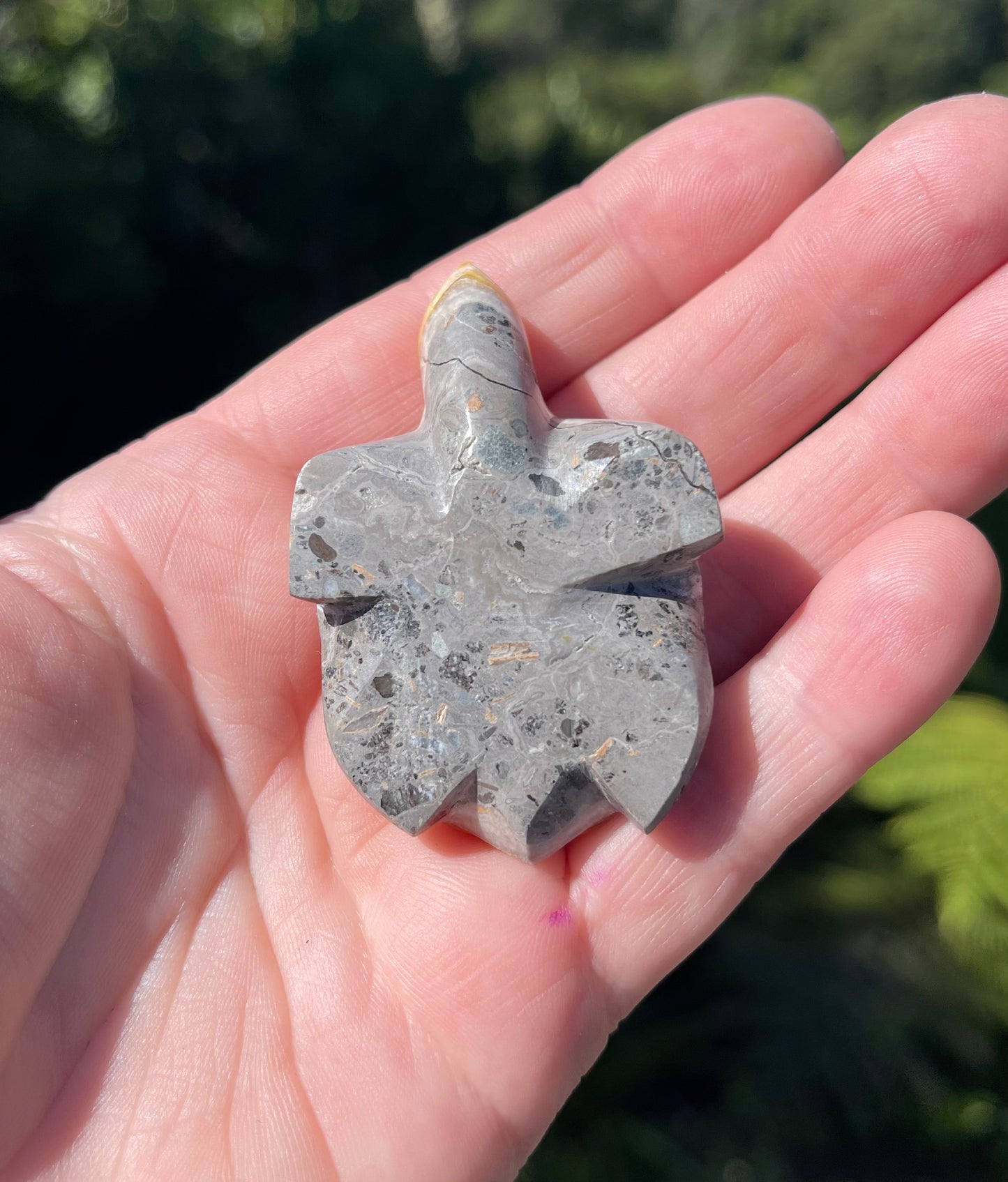 Bumblebee Jasper carved stone Turtle