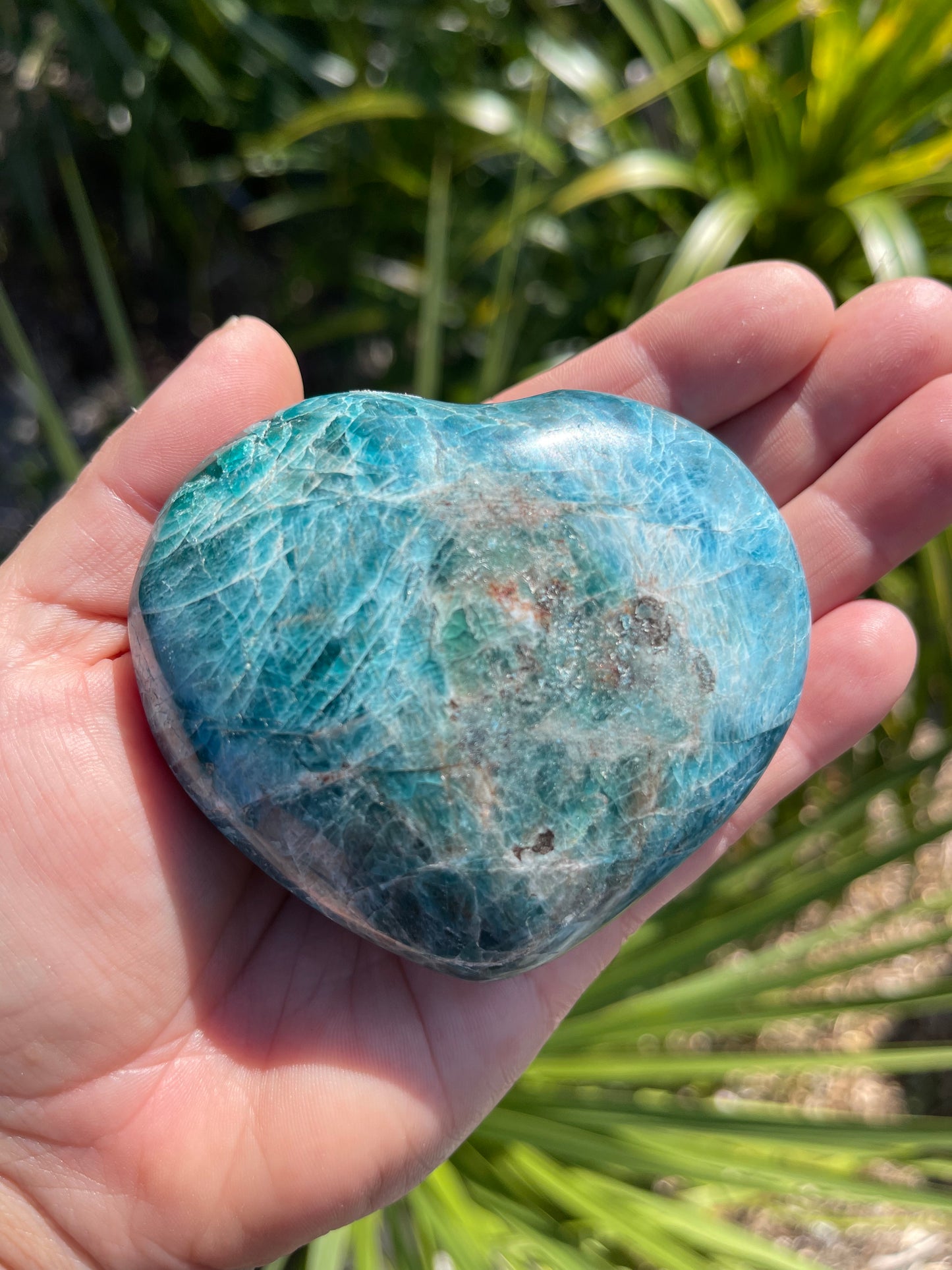 Apatite Heart