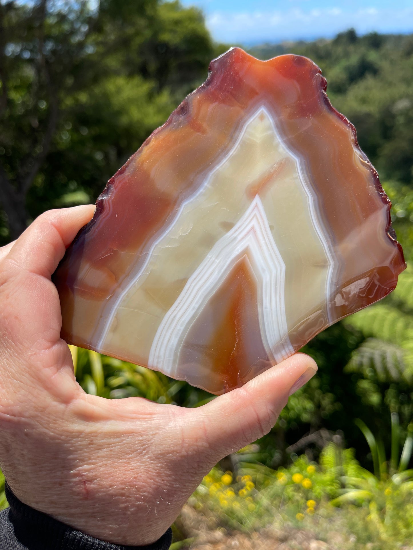 Carnelian Agate Slice
