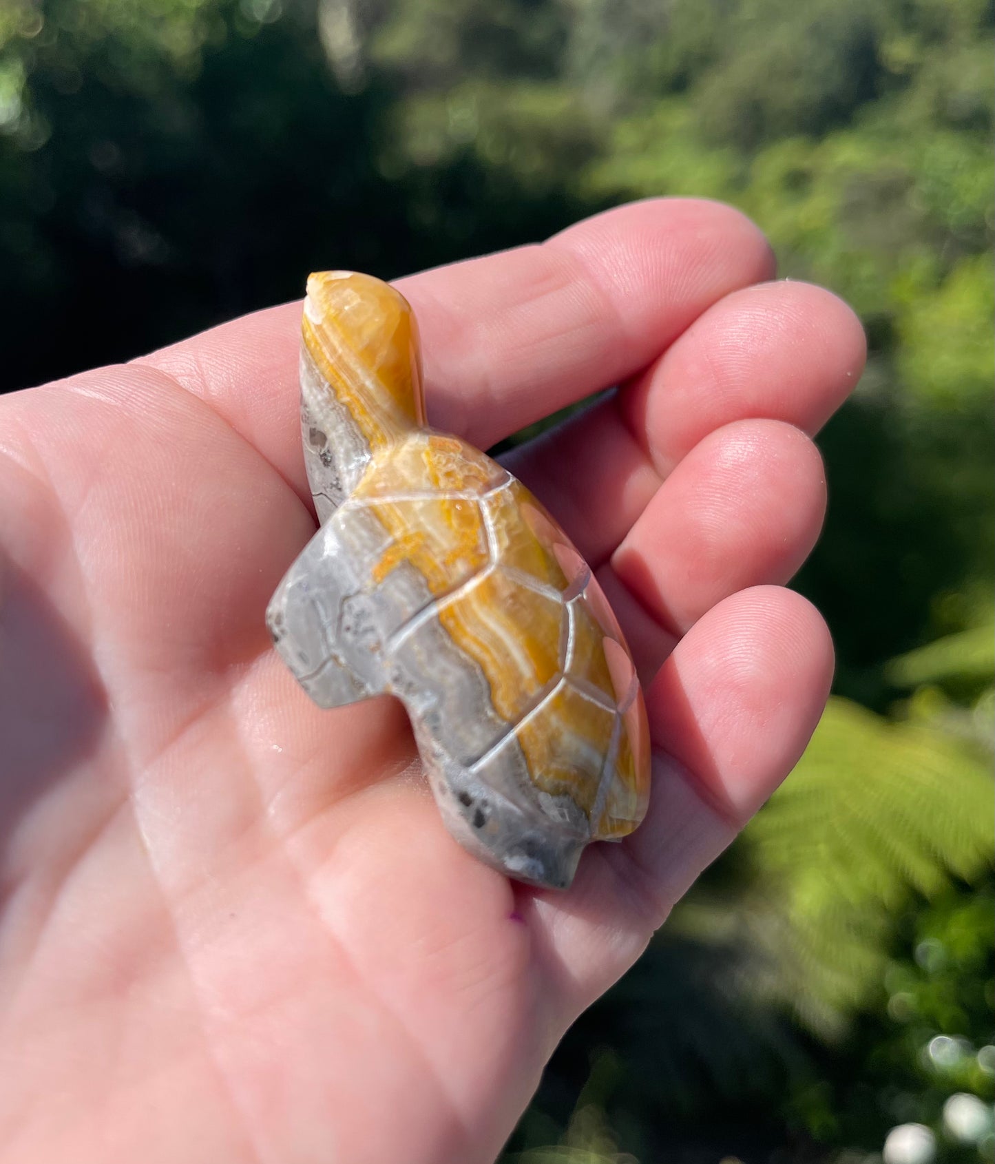 Bumblebee Jasper carved stone Turtle