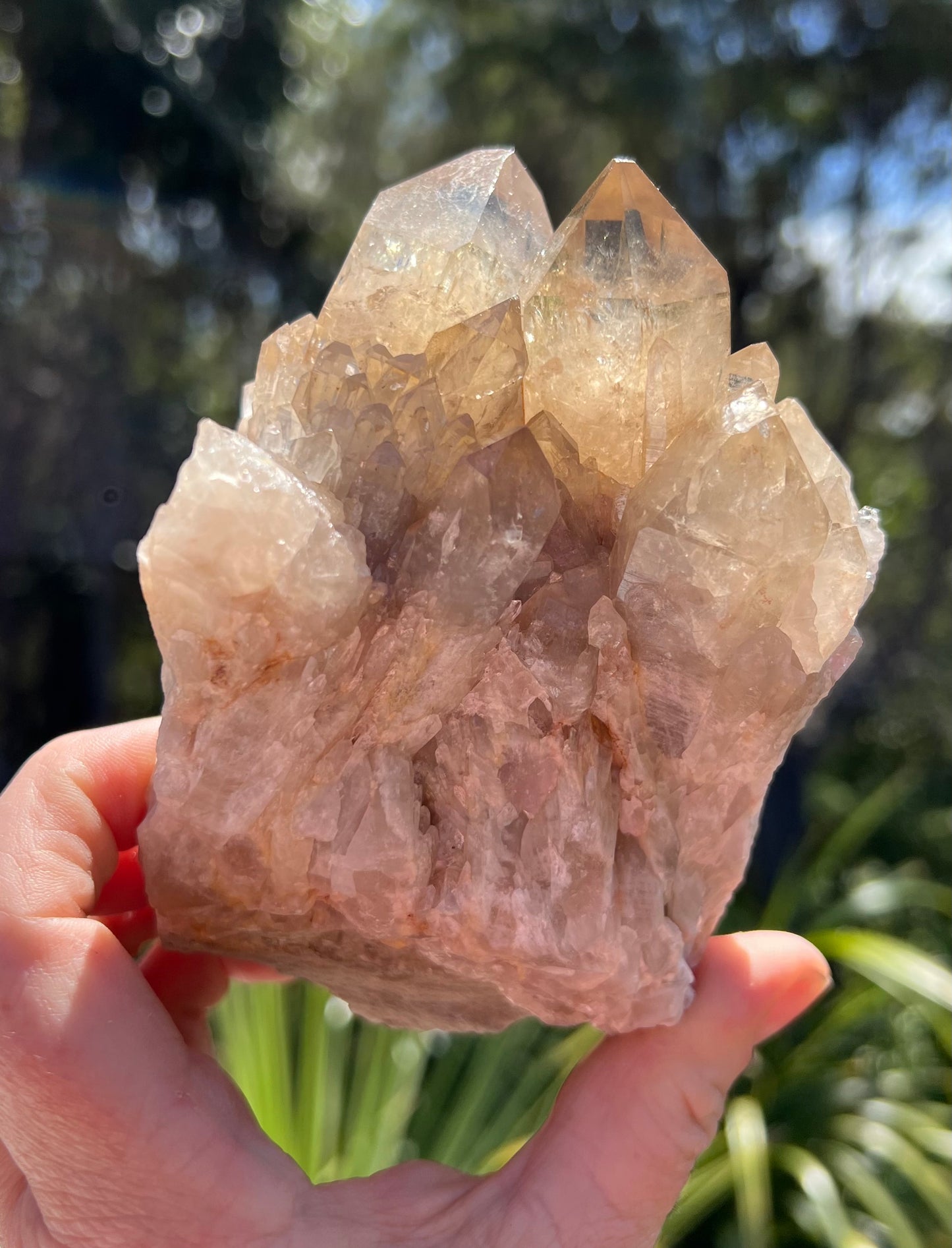 Kundalini Citrine Cluster