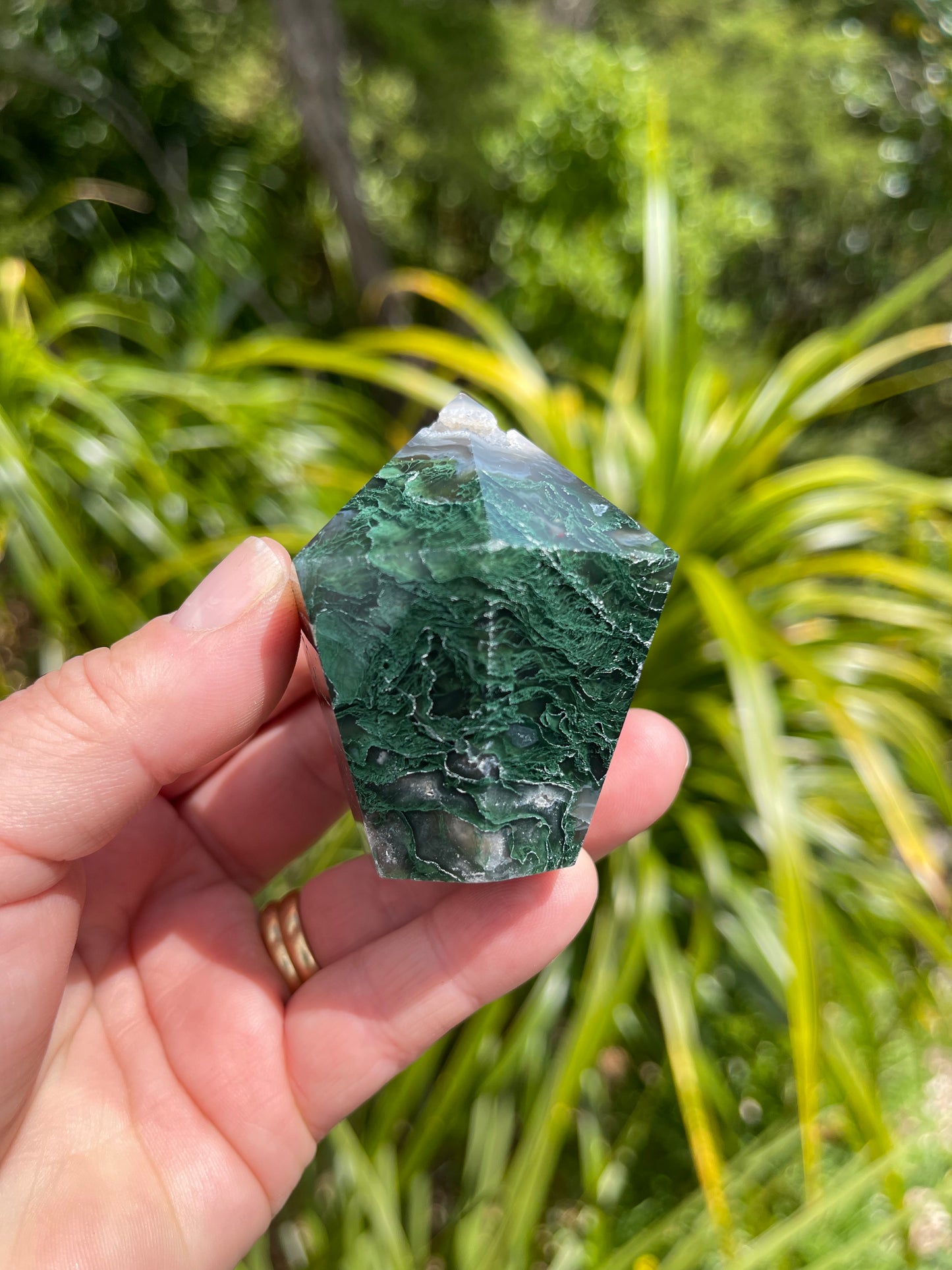 Moss Agate Point