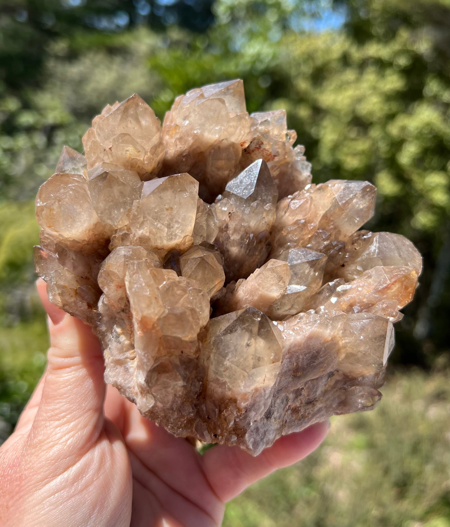Kundalini Smoky Citrine Cluster