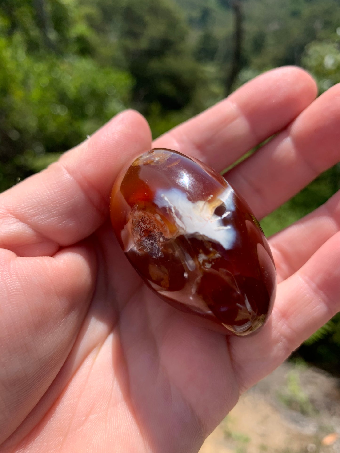 Beautiful Orca Carnelian Palm Stone