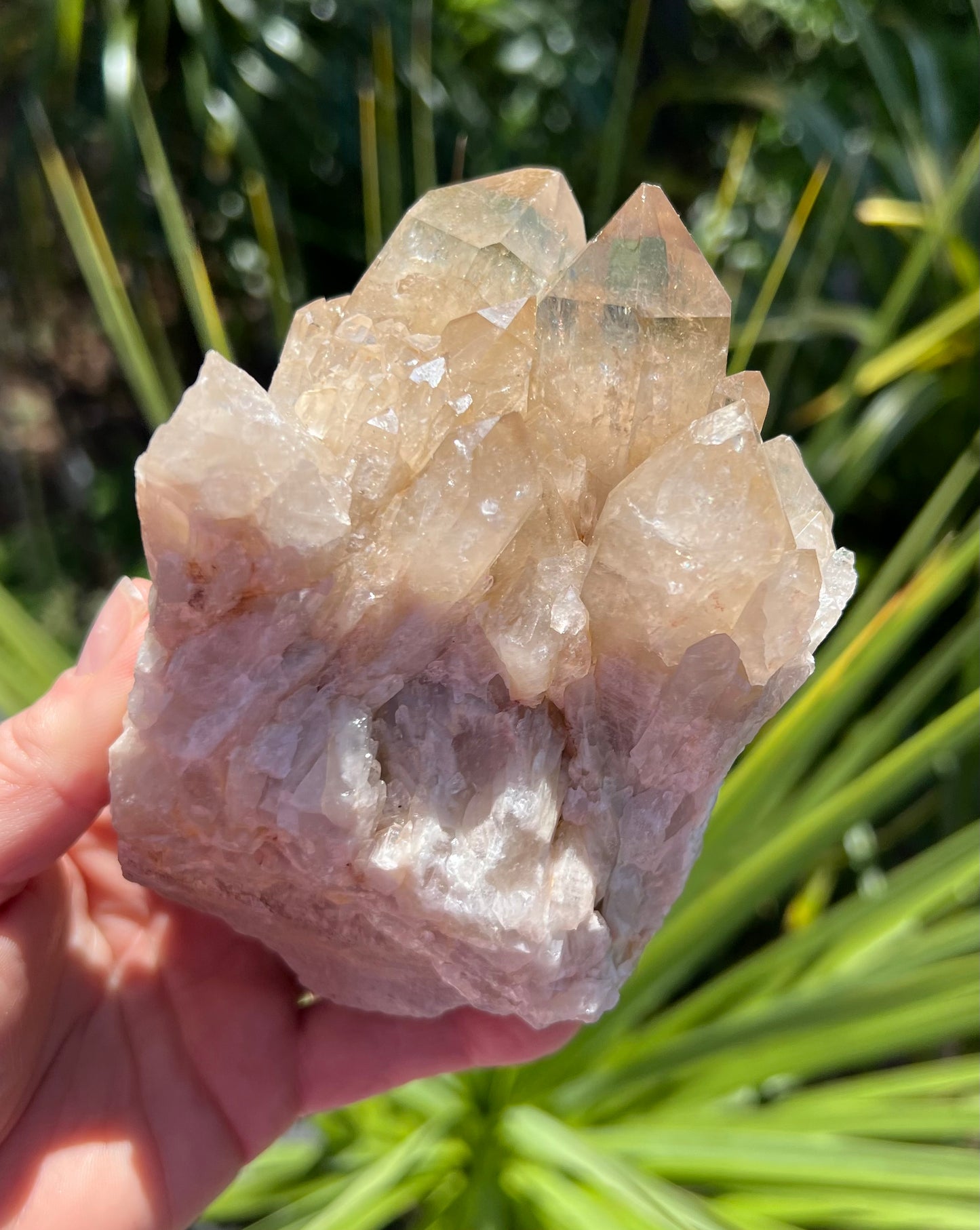 Kundalini Citrine Cluster