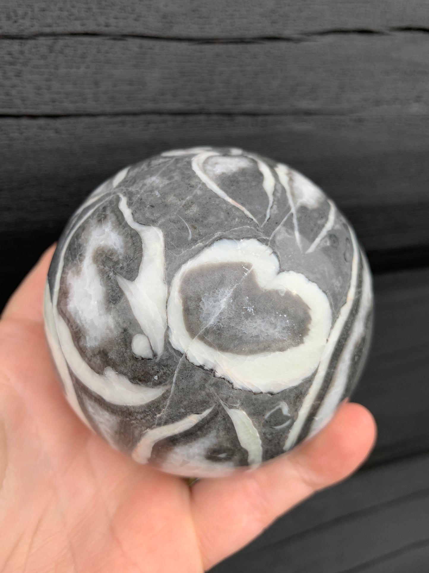Thousand Eye/Shell Jasper Sphere