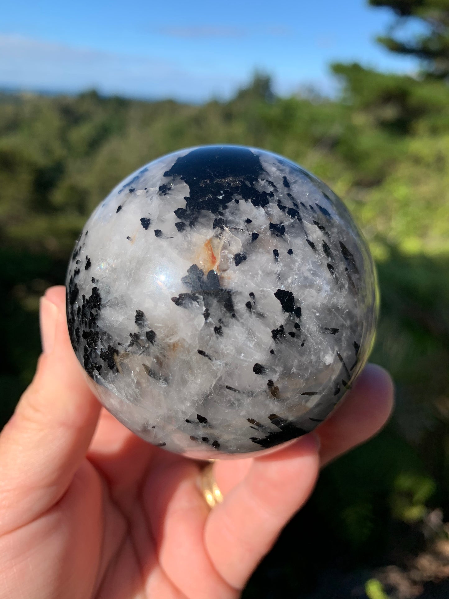Black Tourmaline in Quartz Sphere