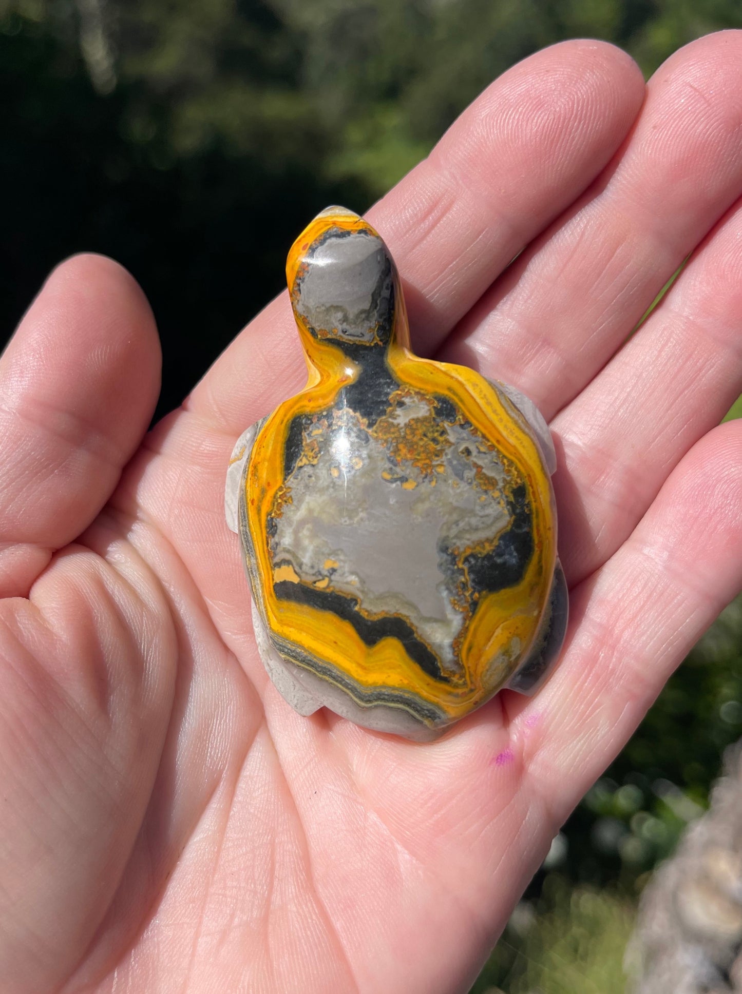Bumblebee Jasper carved stone Turtle