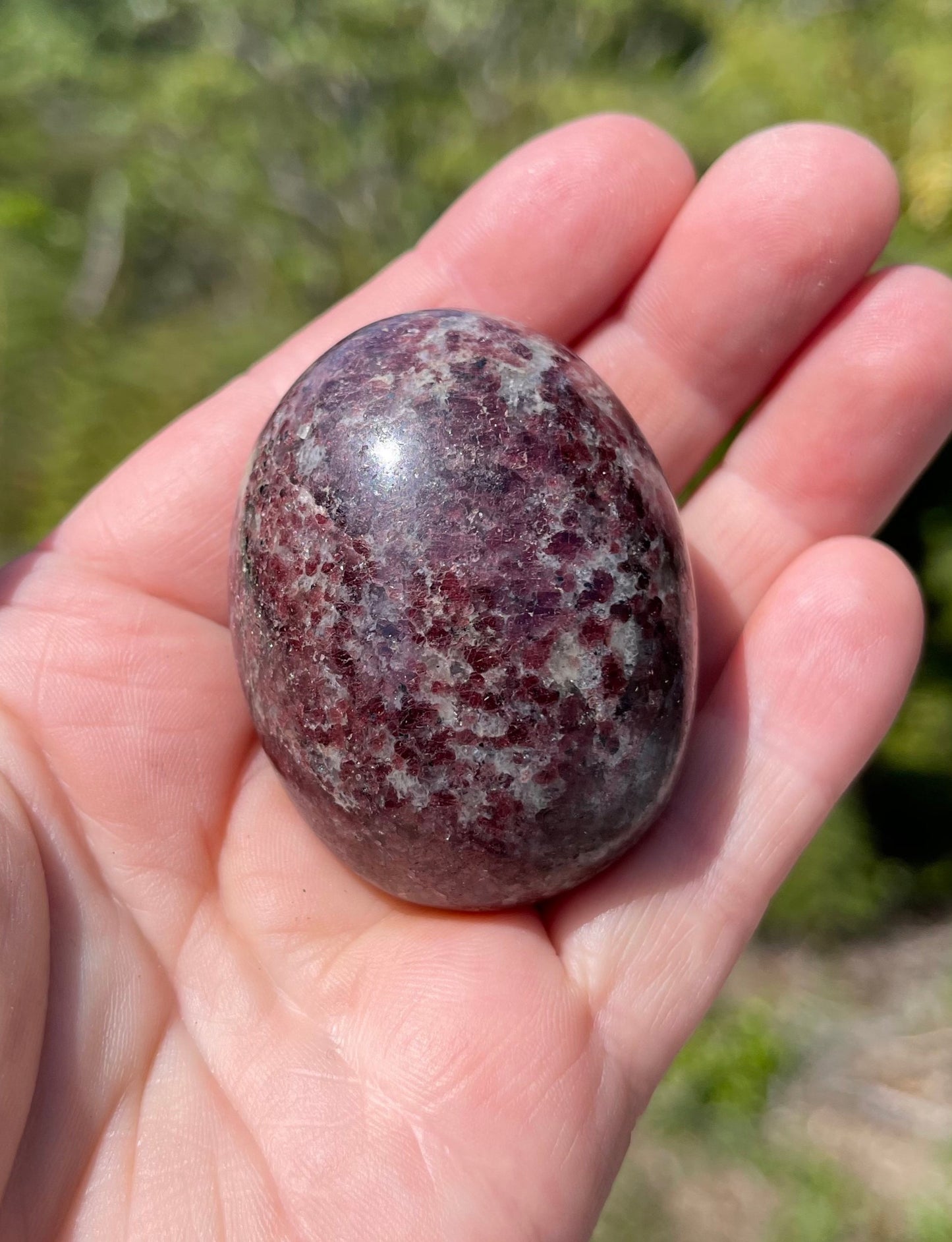 Garnet-Grenatite Puffy Palm Stone