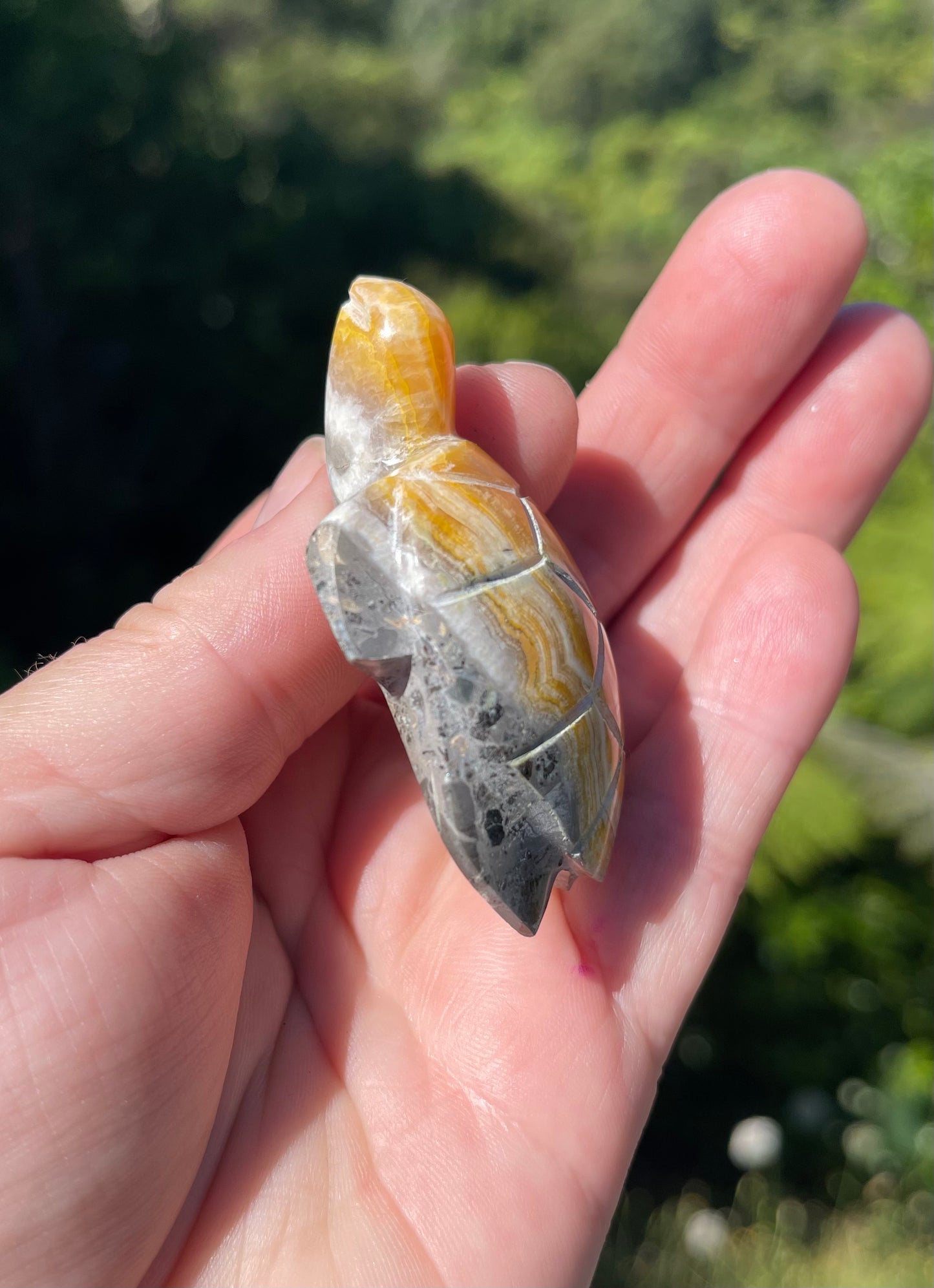 Bumblebee Jasper carved stone Turtle