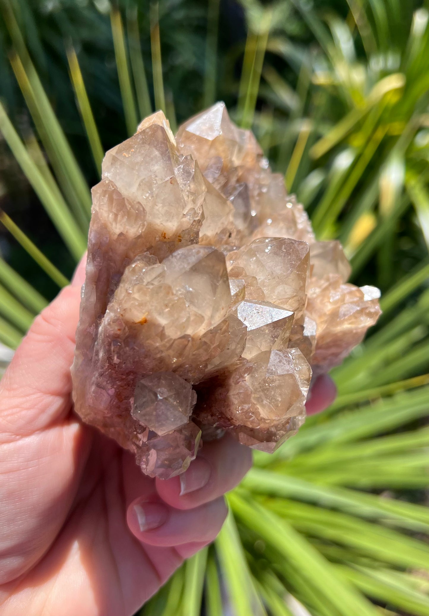 Kundalini Smoky Citrine Cluster