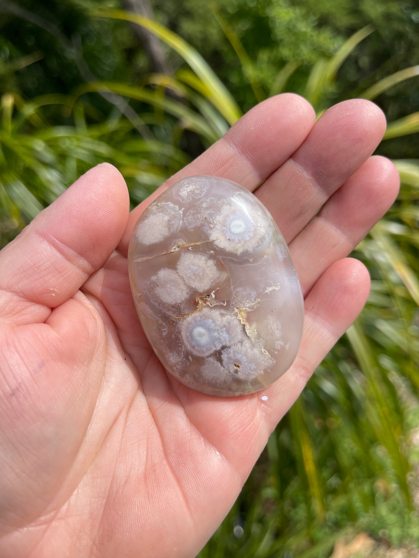 Cherry Blossom/Flower Agate Palm Stone