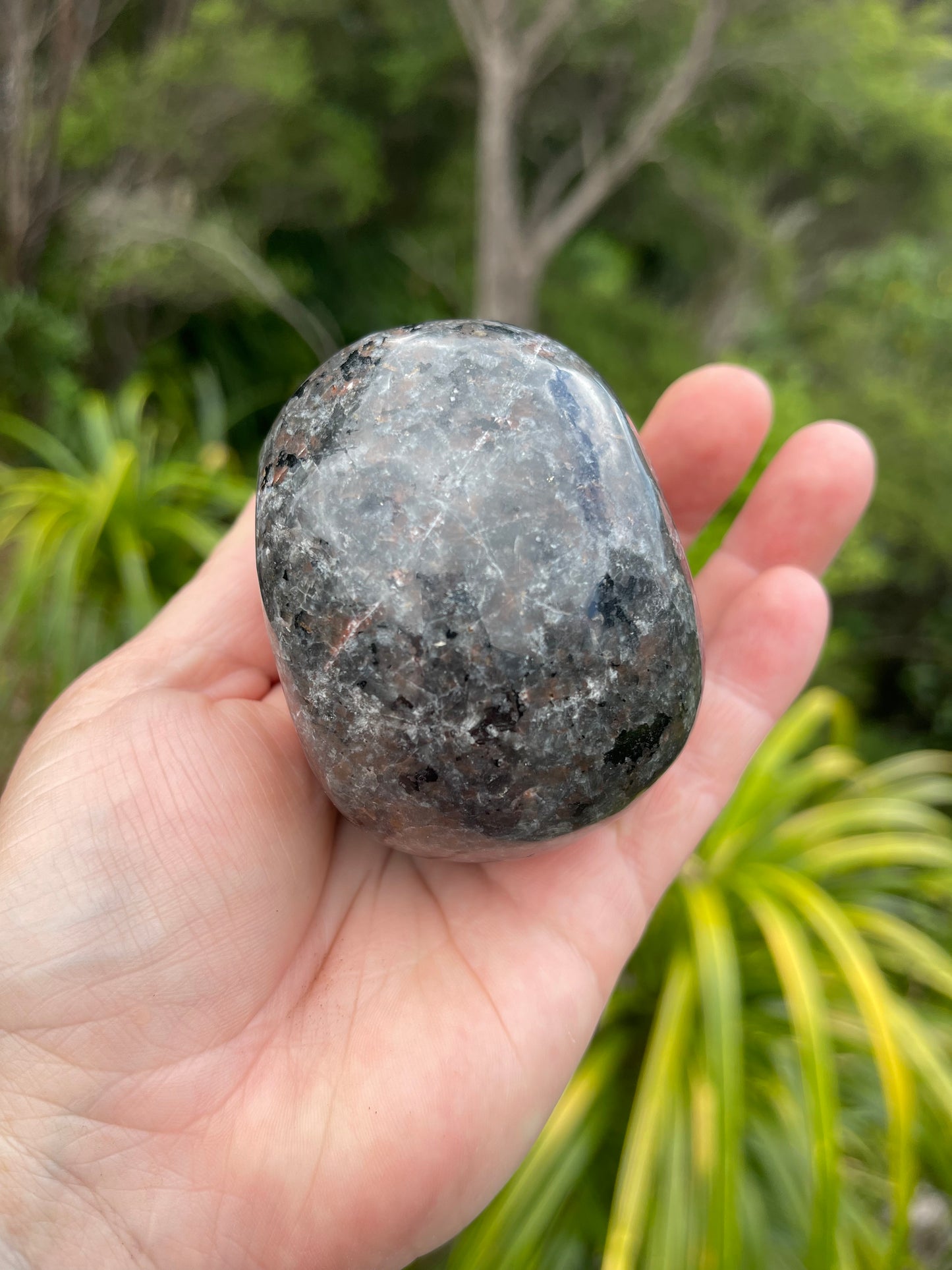 Yooperlite/Ultra Violet Sodalite Skull