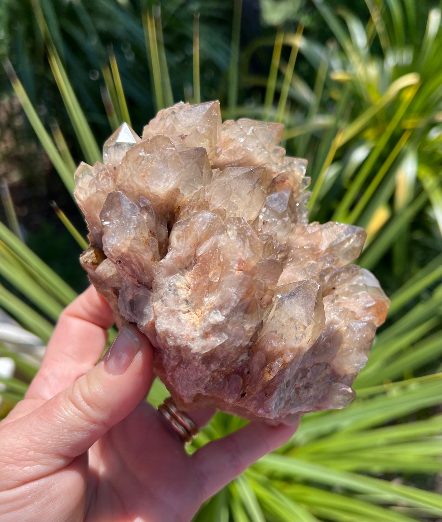 Kundalini Smoky Citrine Cluster