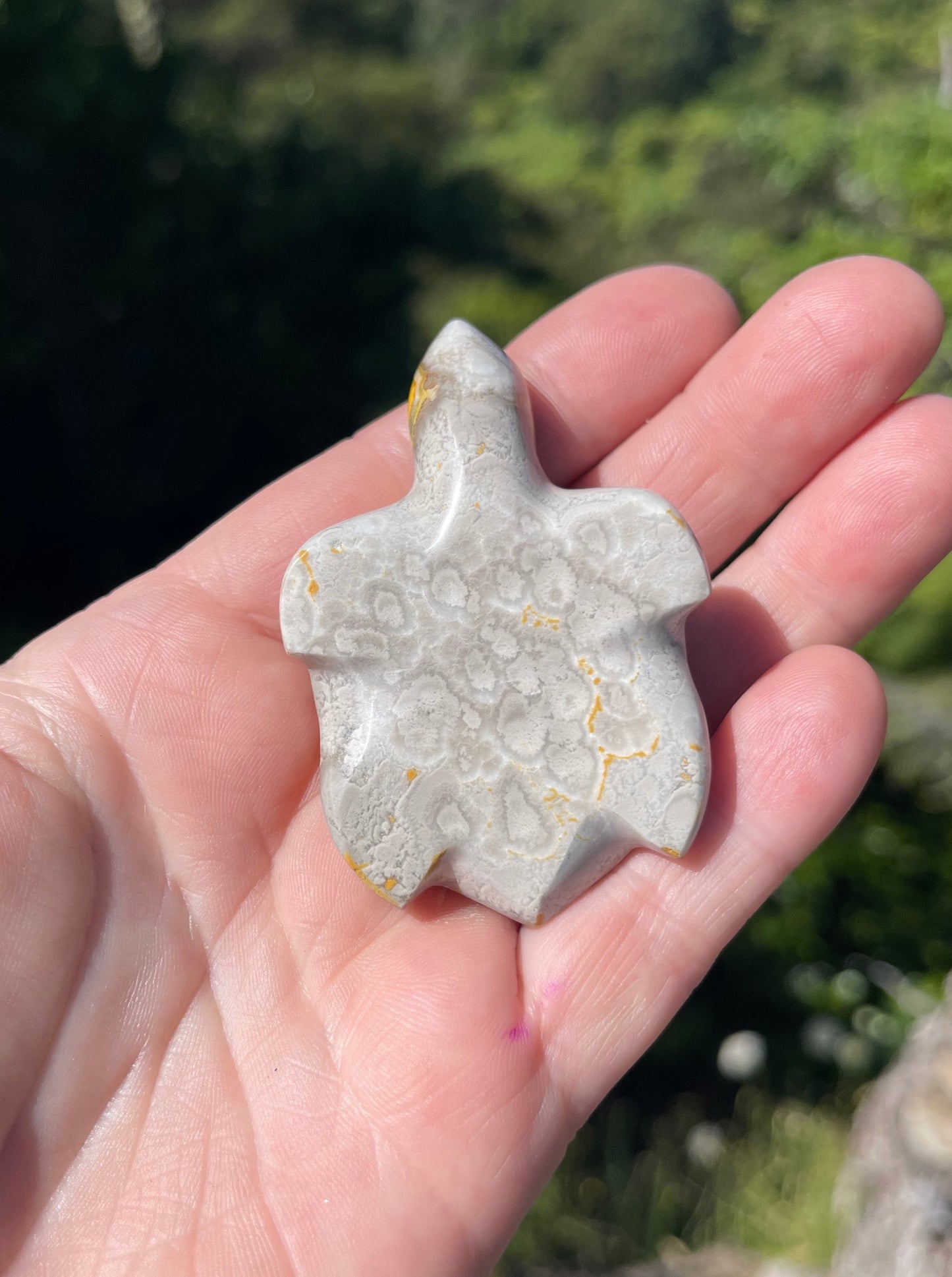 Bumblebee Jasper carved stone Turtle