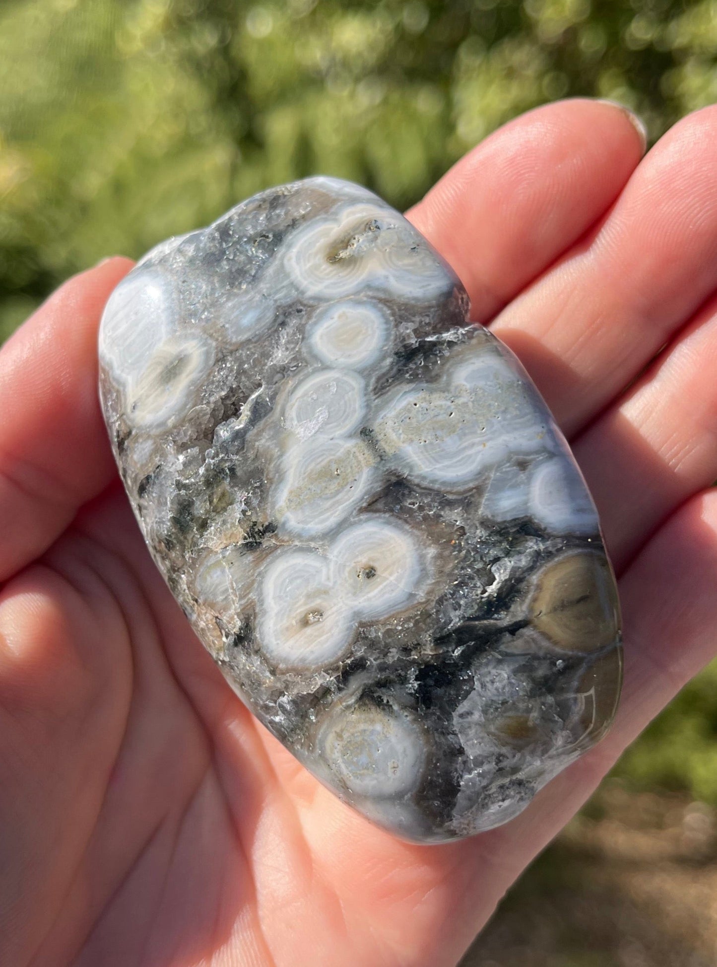 Orbicular Ocean Jasper Palm Stone