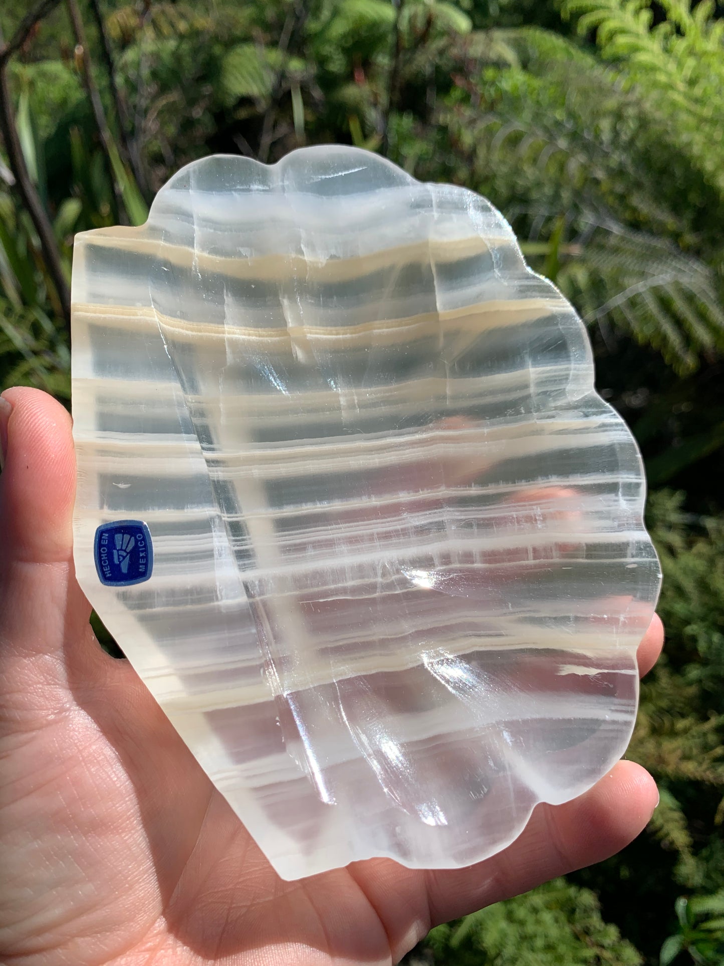 Onyx Shell Dish/Bowl